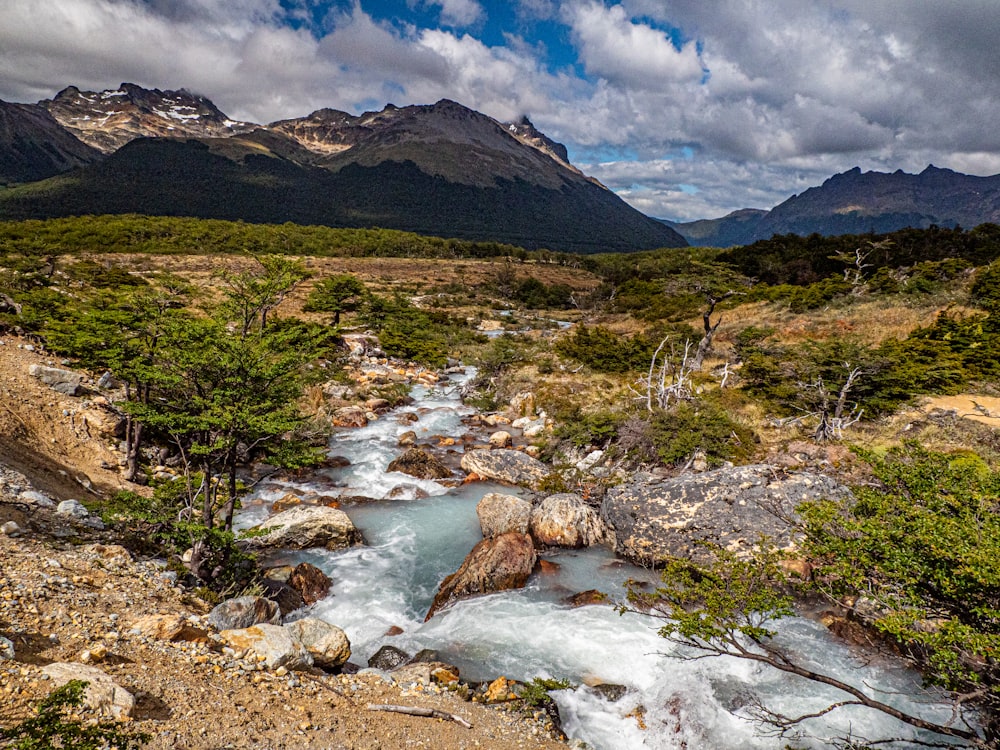 a river running through a lush green forest