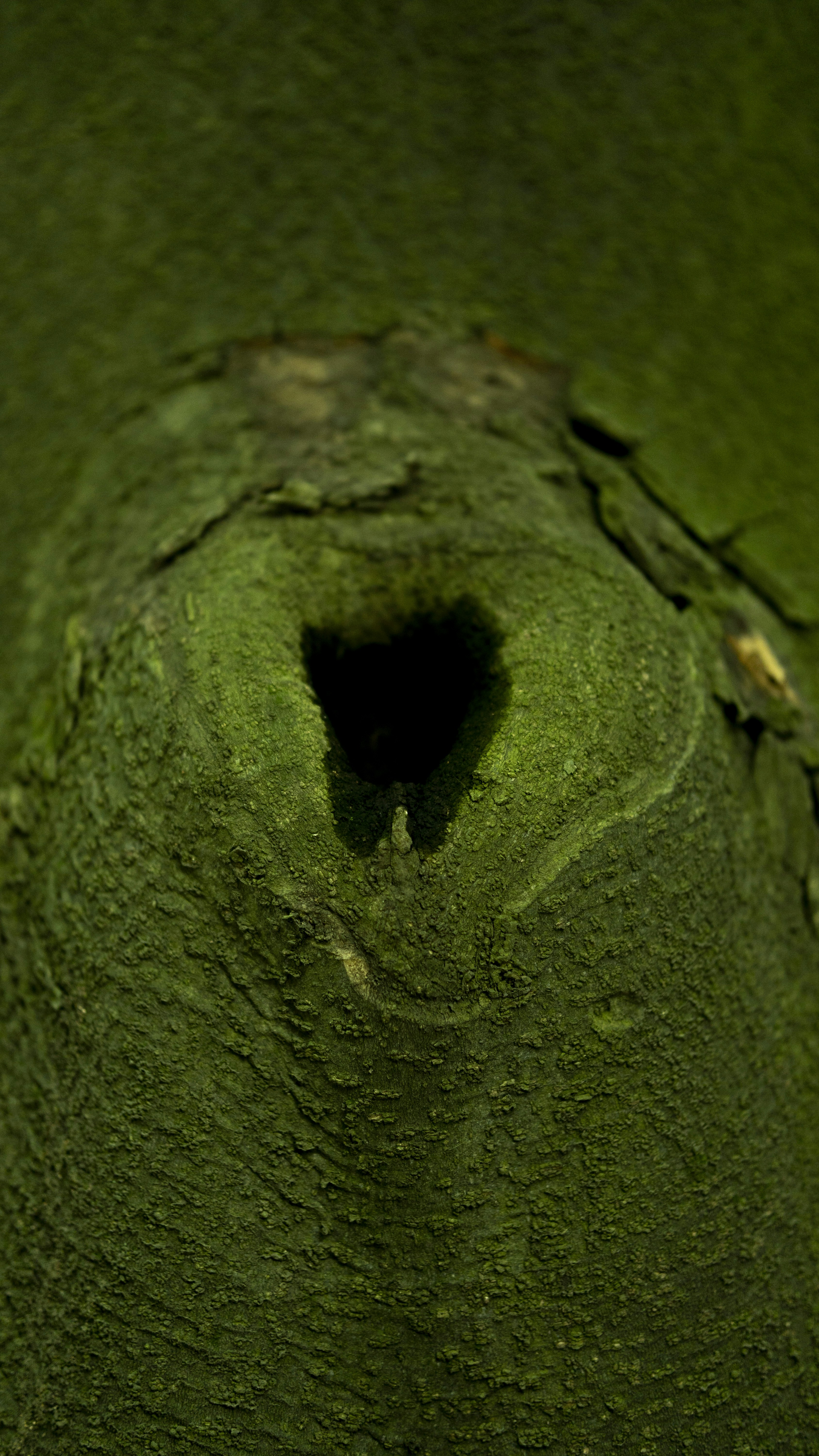a hole in the ground with green paint
