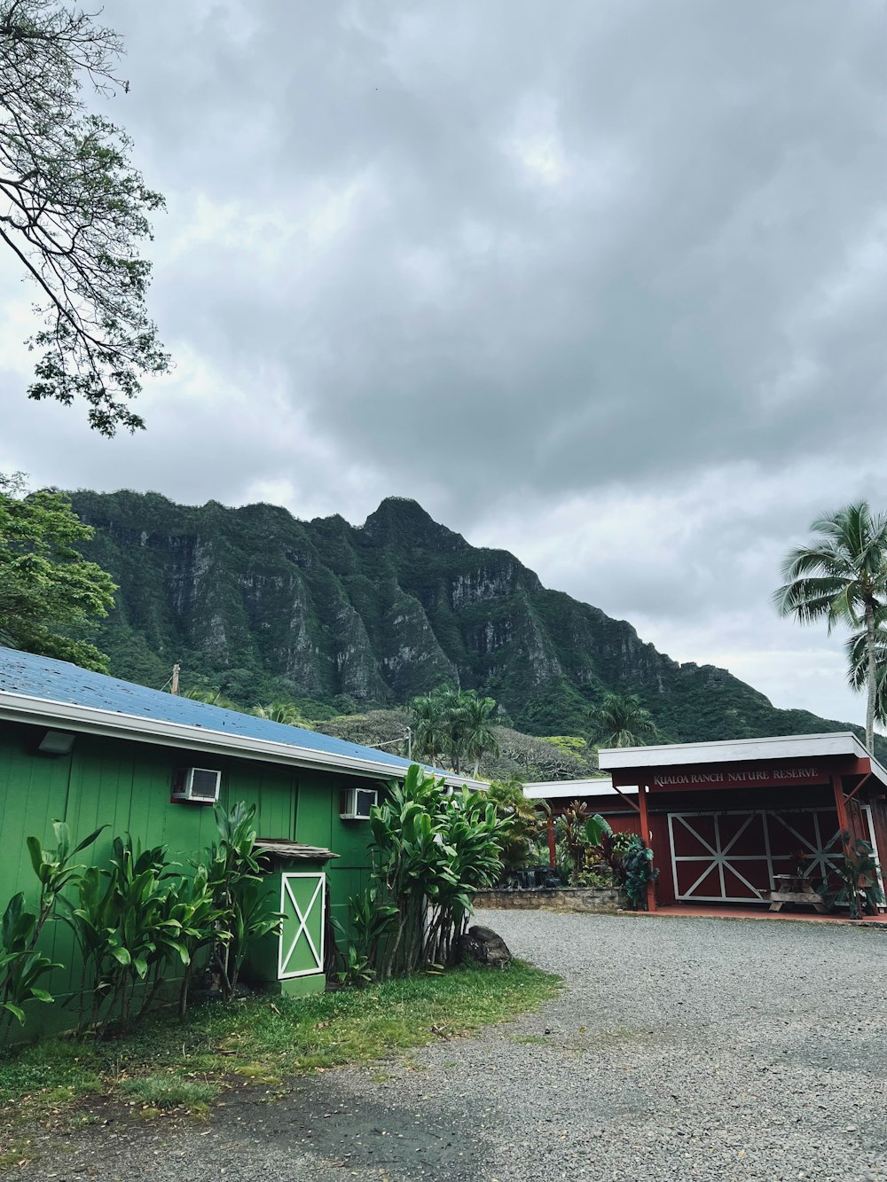 a green building with a mountain in the background