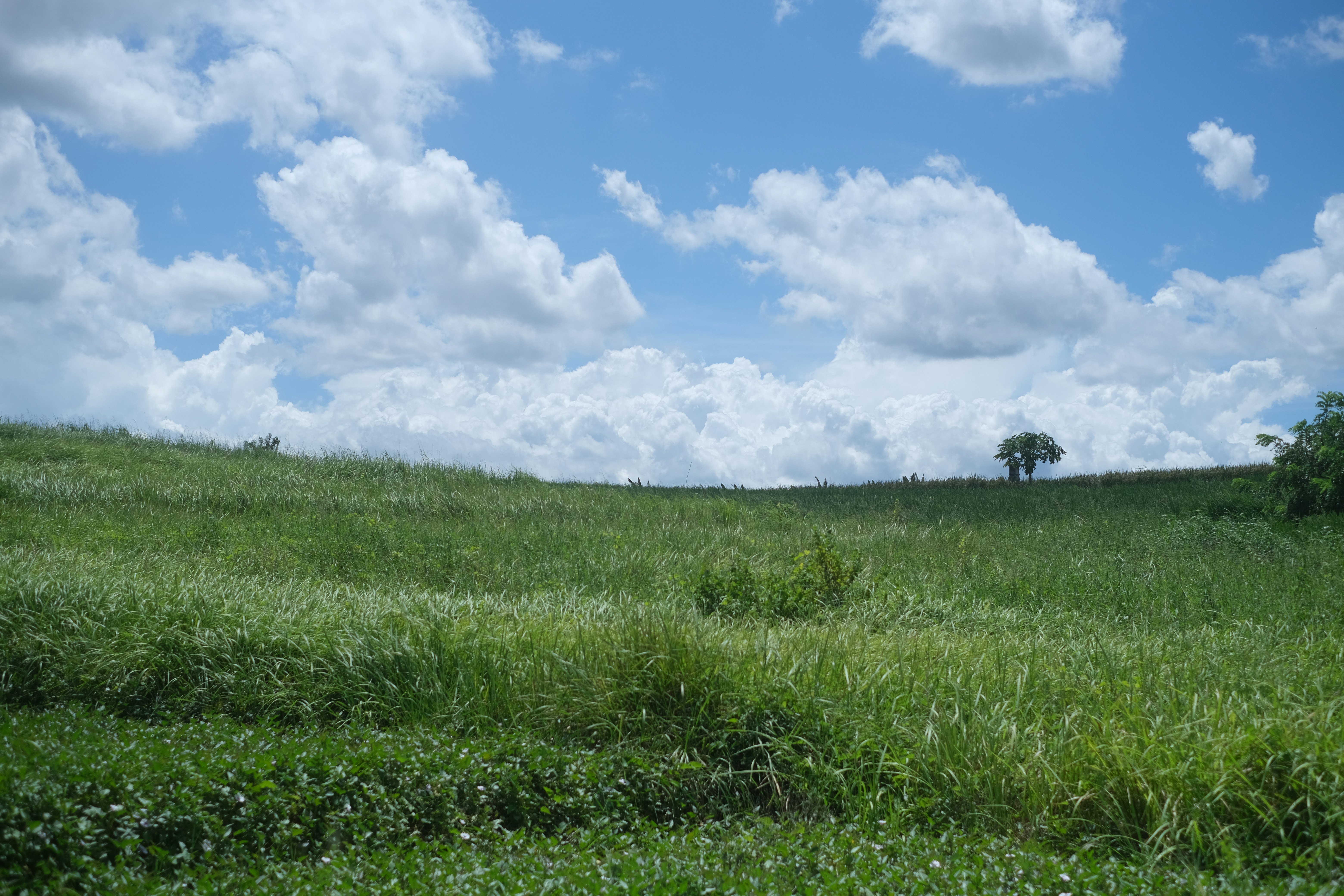 Photo by jamesxander