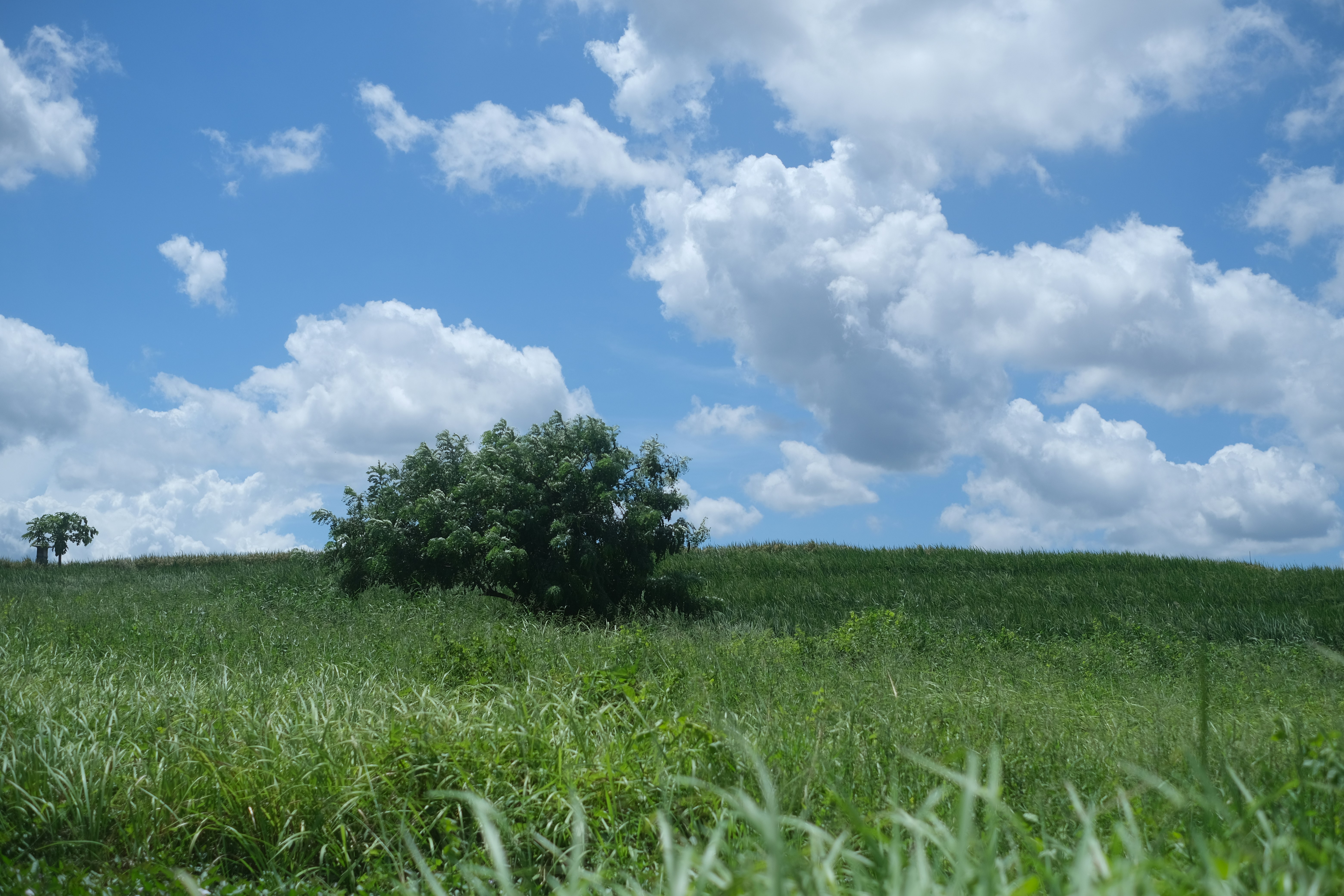 Photo by jamesxander