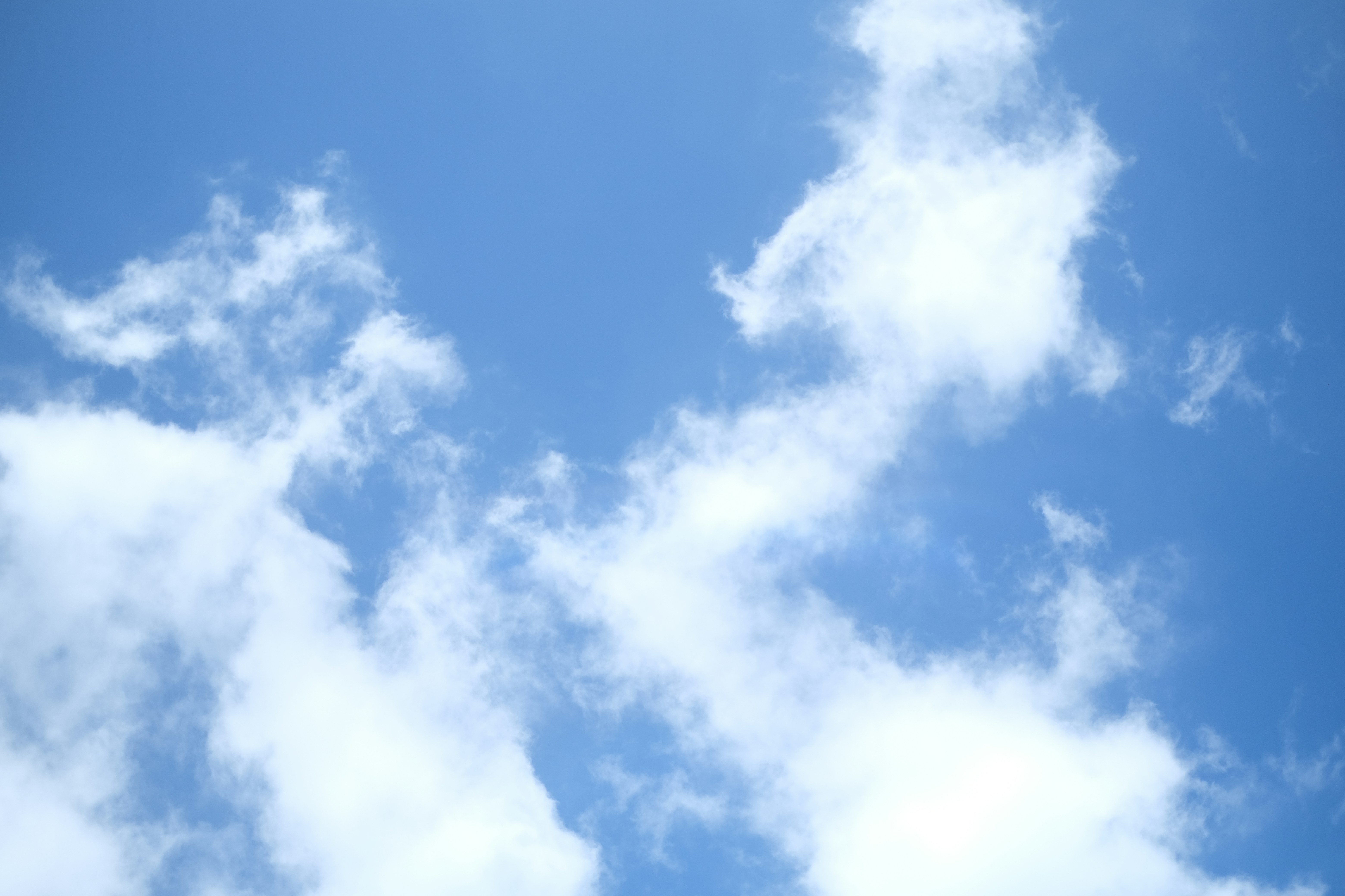 Photo by jamesxander