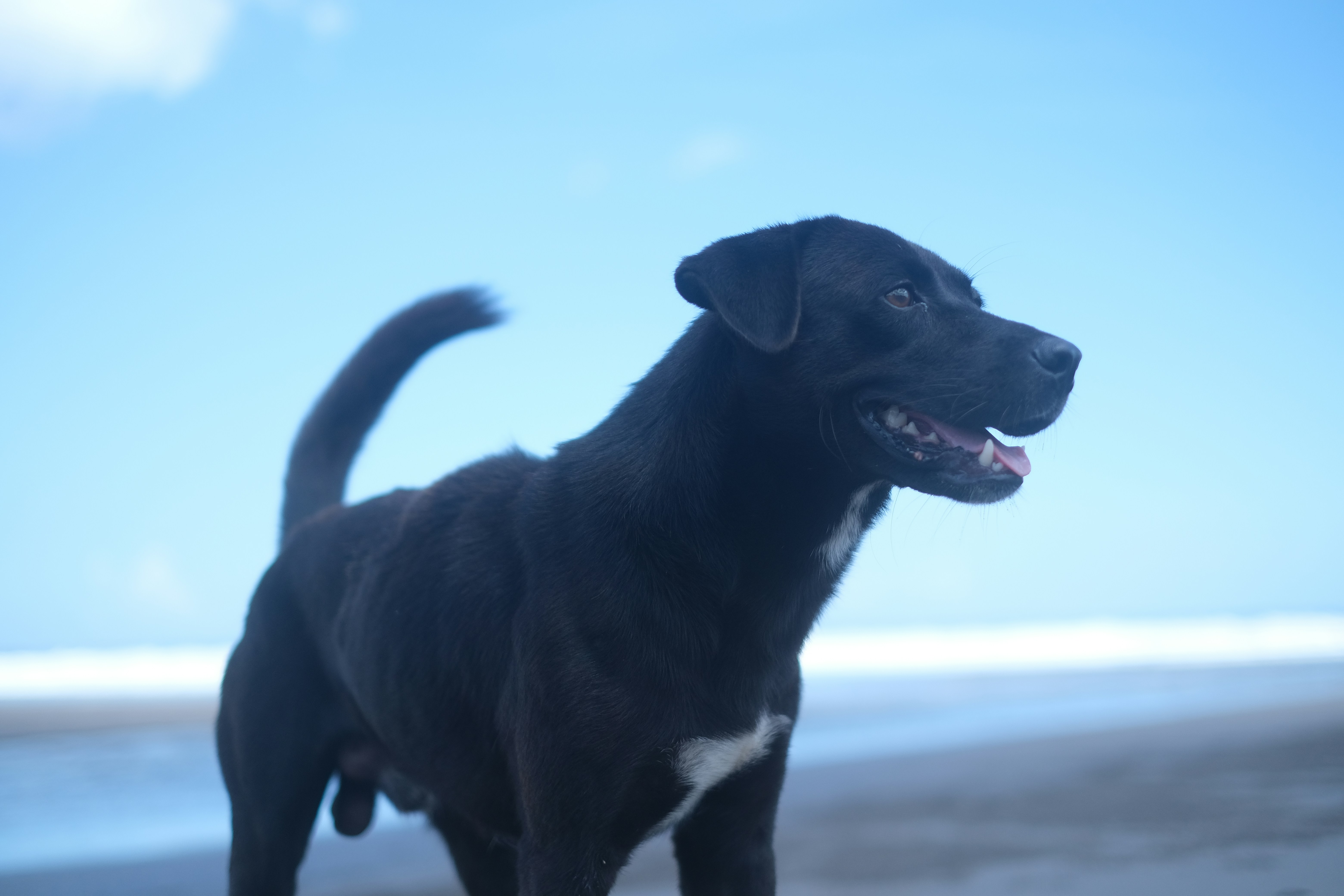 Photo by jamesxander