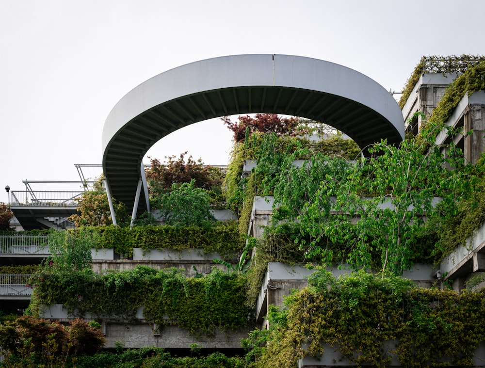 a bunch of plants growing on the side of a building