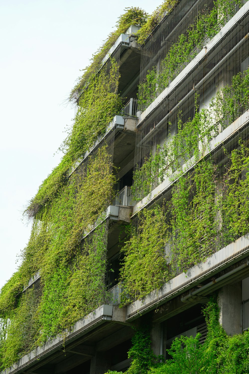 a very tall building covered in lots of green plants