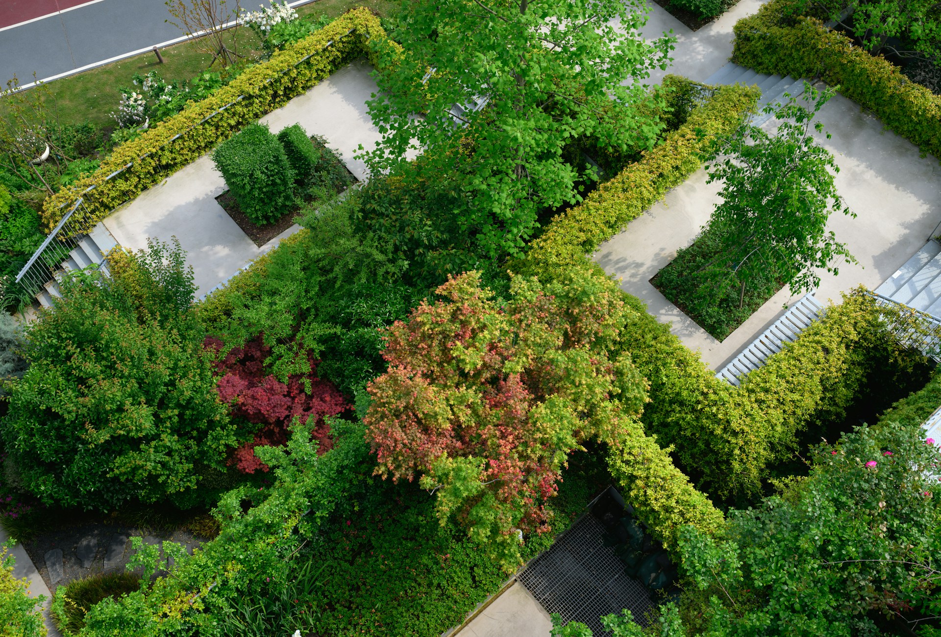an aerial view of a park with a lot of trees