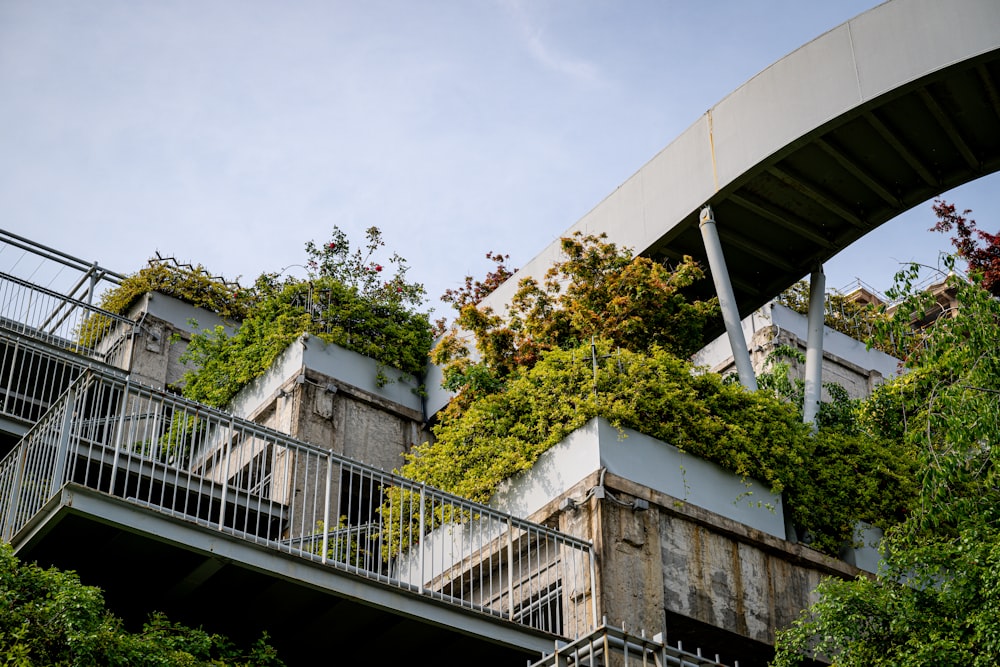 a building with plants growing on the side of it