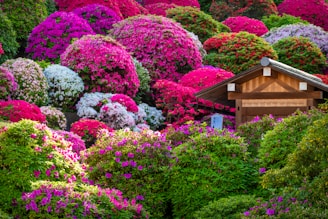 a house surrounded by colorful flowers in the middle of a forest