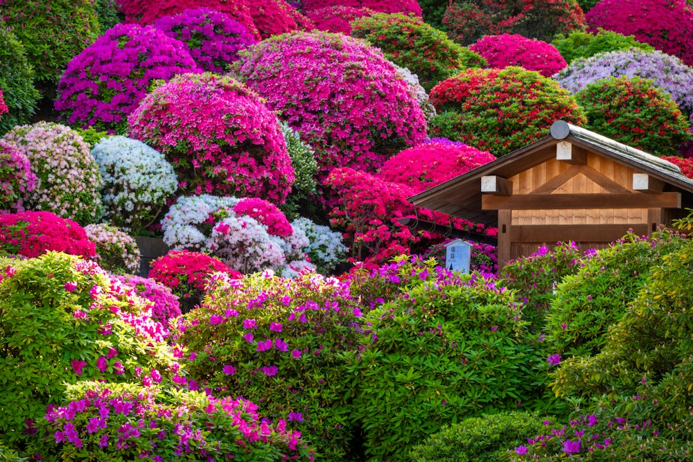 a house surrounded by colorful flowers in the middle of a forest