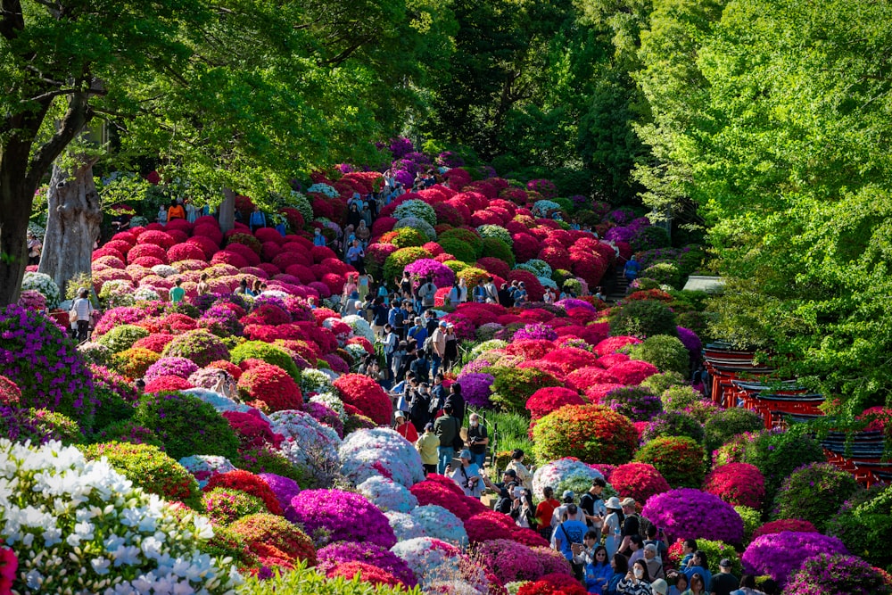 a group of people walking down a hill covered in flowers