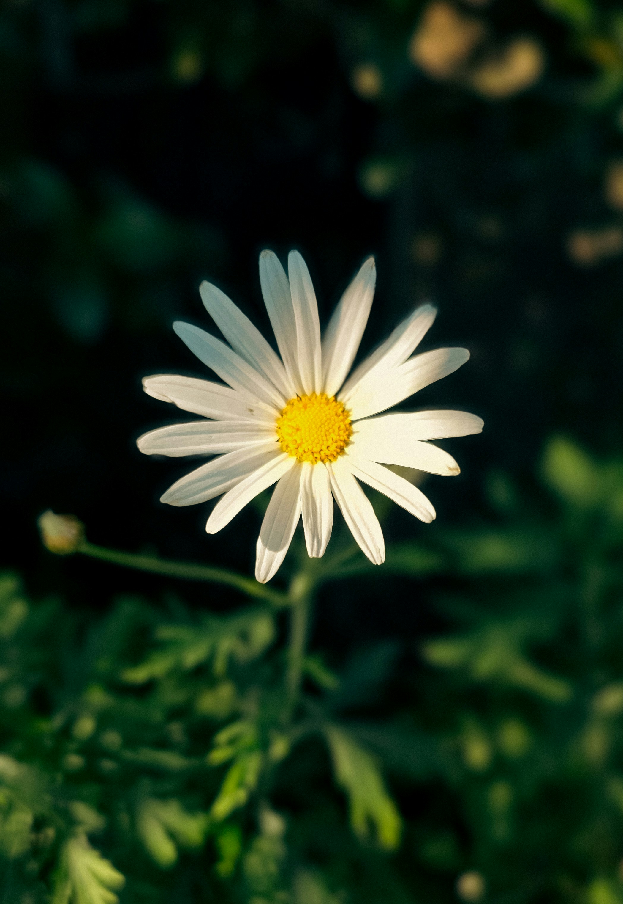 Photo by tribeandtongue