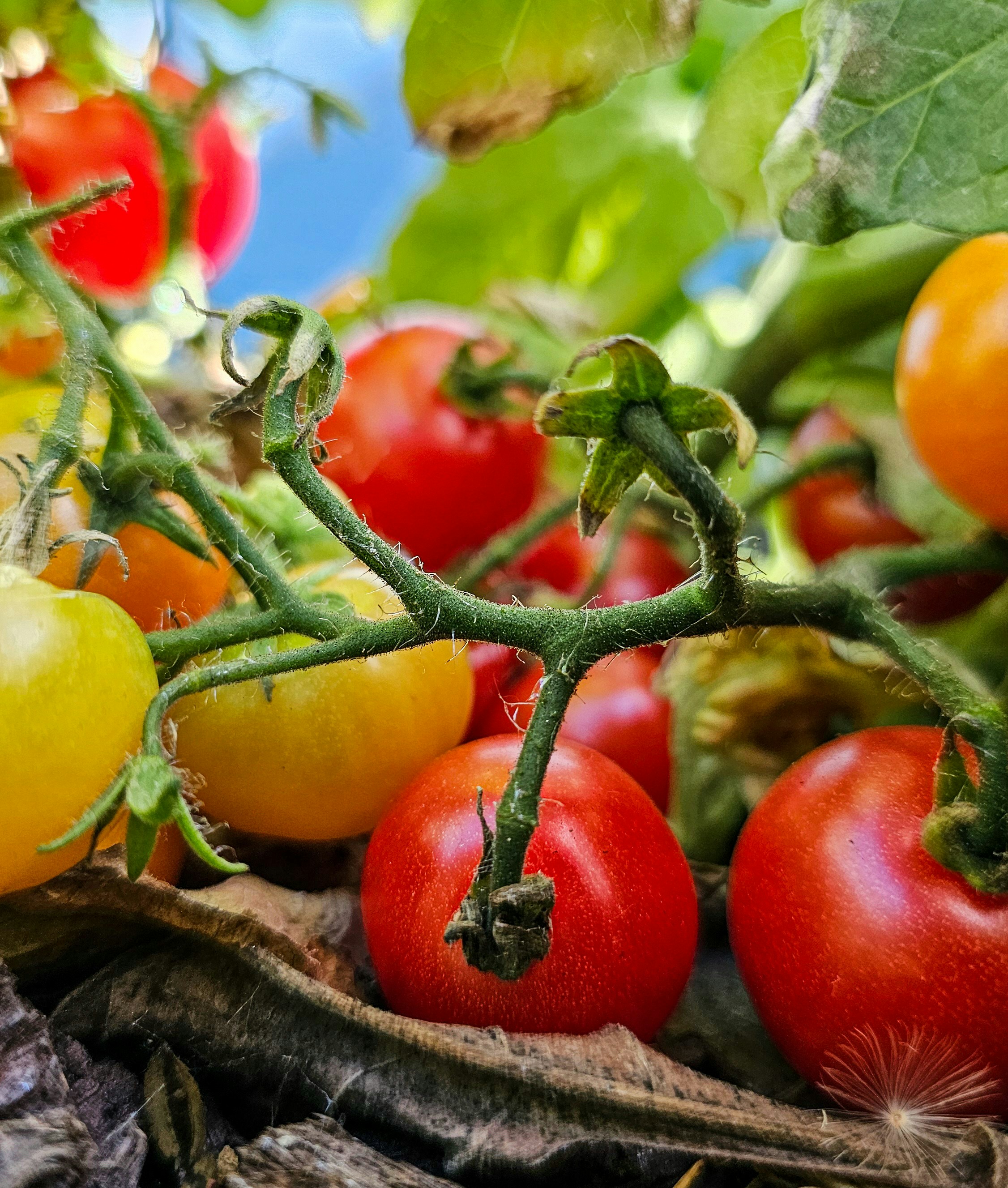 Photo by tribeandtongue