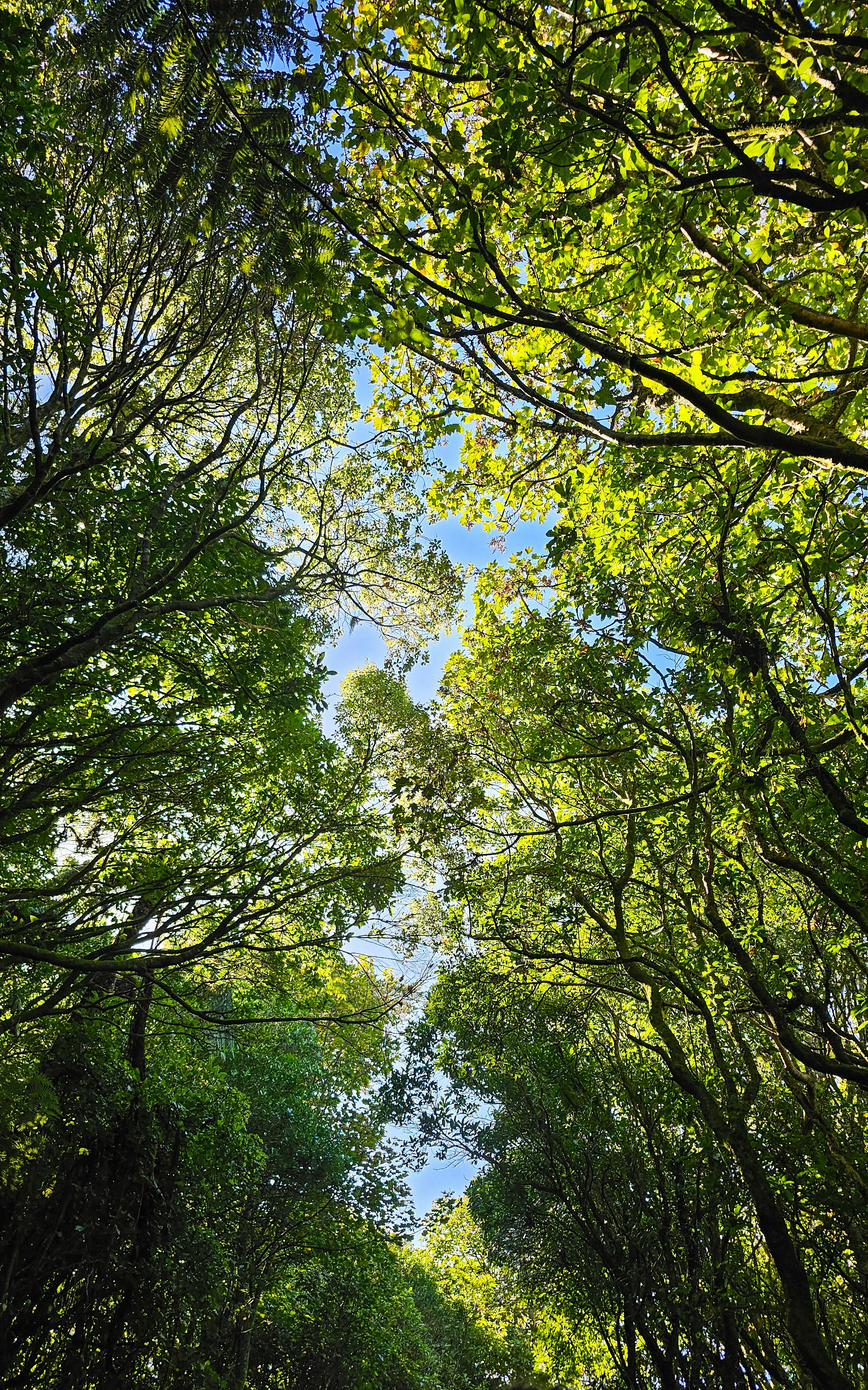 Photo by tribeandtongue