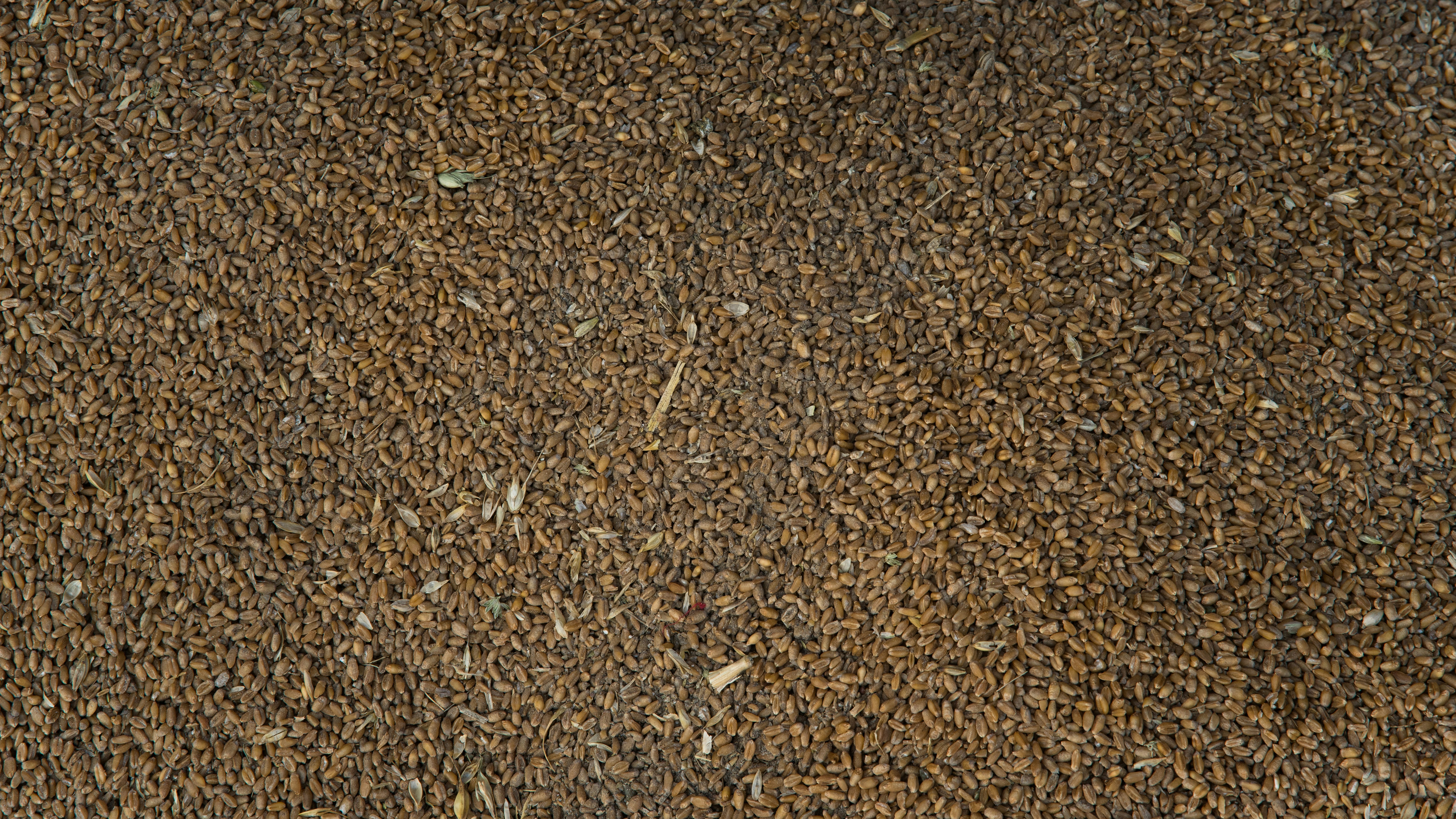 a close up of a brown carpet with a small amount of dirt on it, 