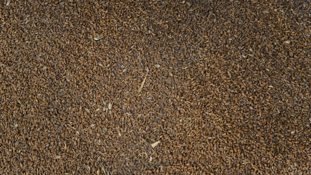 Un primer plano de una alfombra marrón con una pequeña cantidad de suciedad