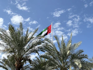 a flag flying in the air next to a palm tree