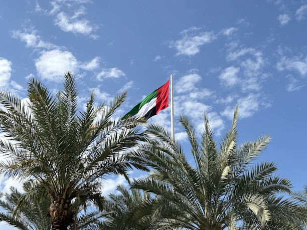 a flag flying in the air next to a palm tree
