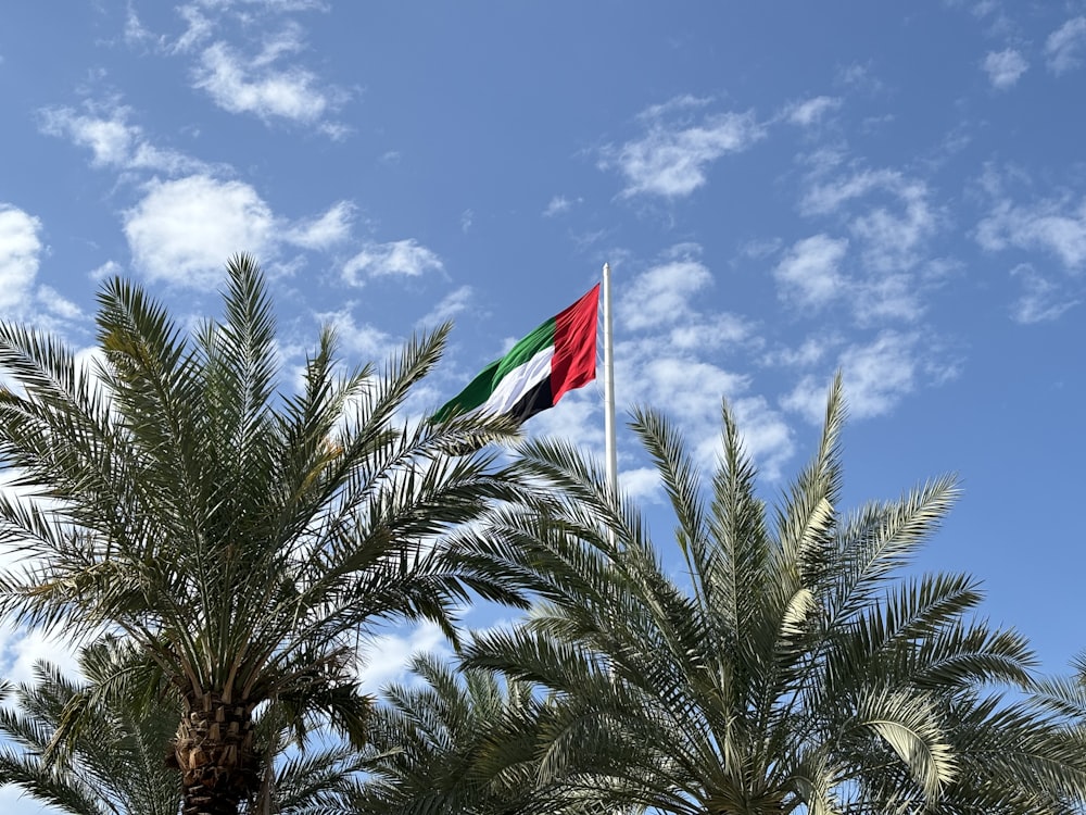 a flag flying in the air next to a palm tree