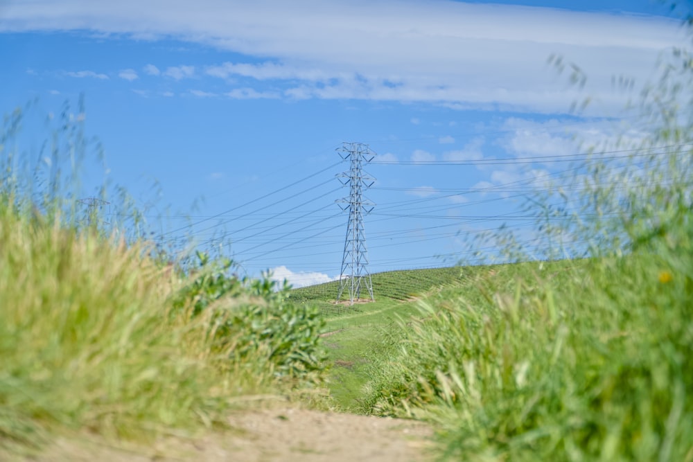 a grassy field with a power line in the background