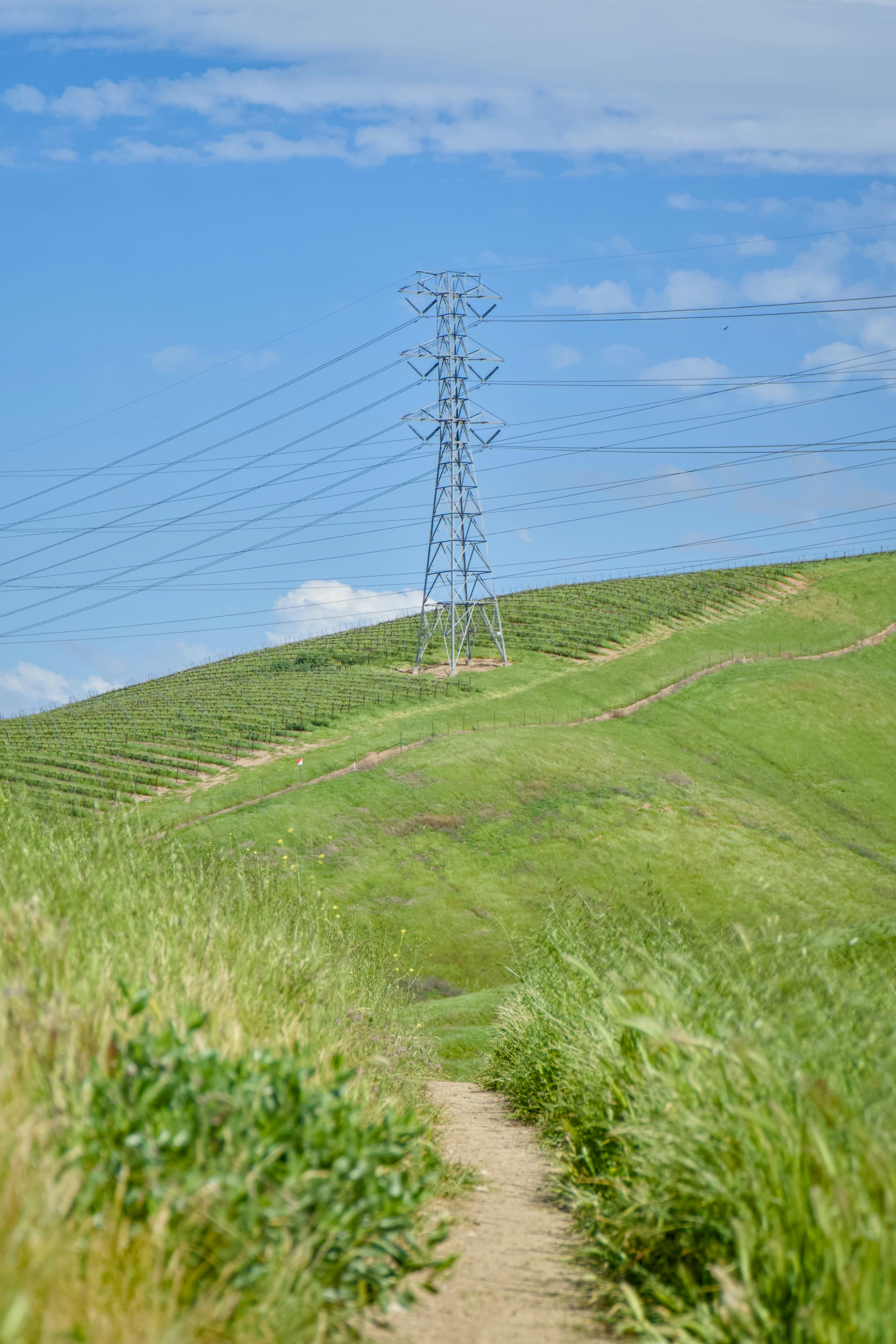 Photo by spencer_demera