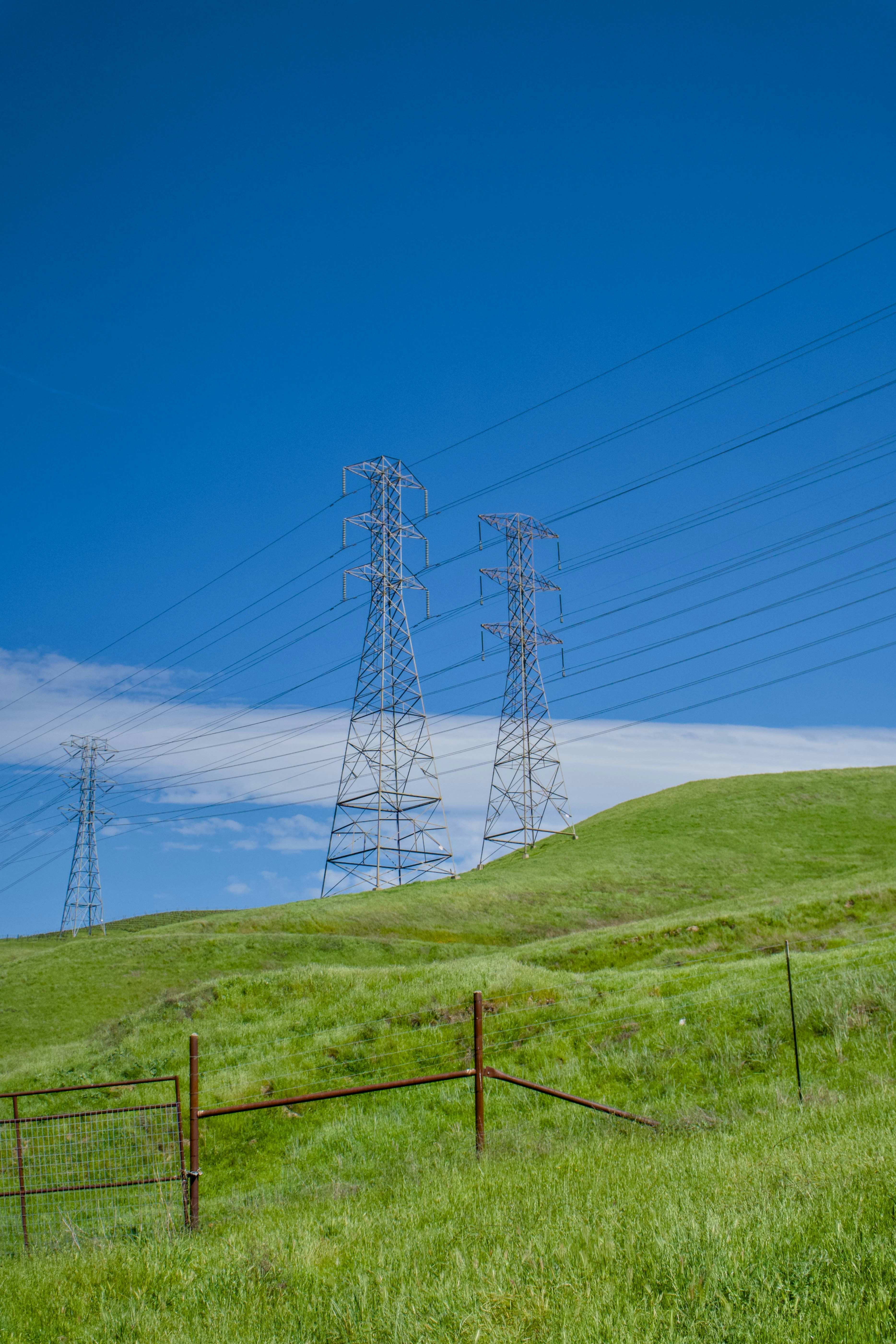 Photo by spencer_demera