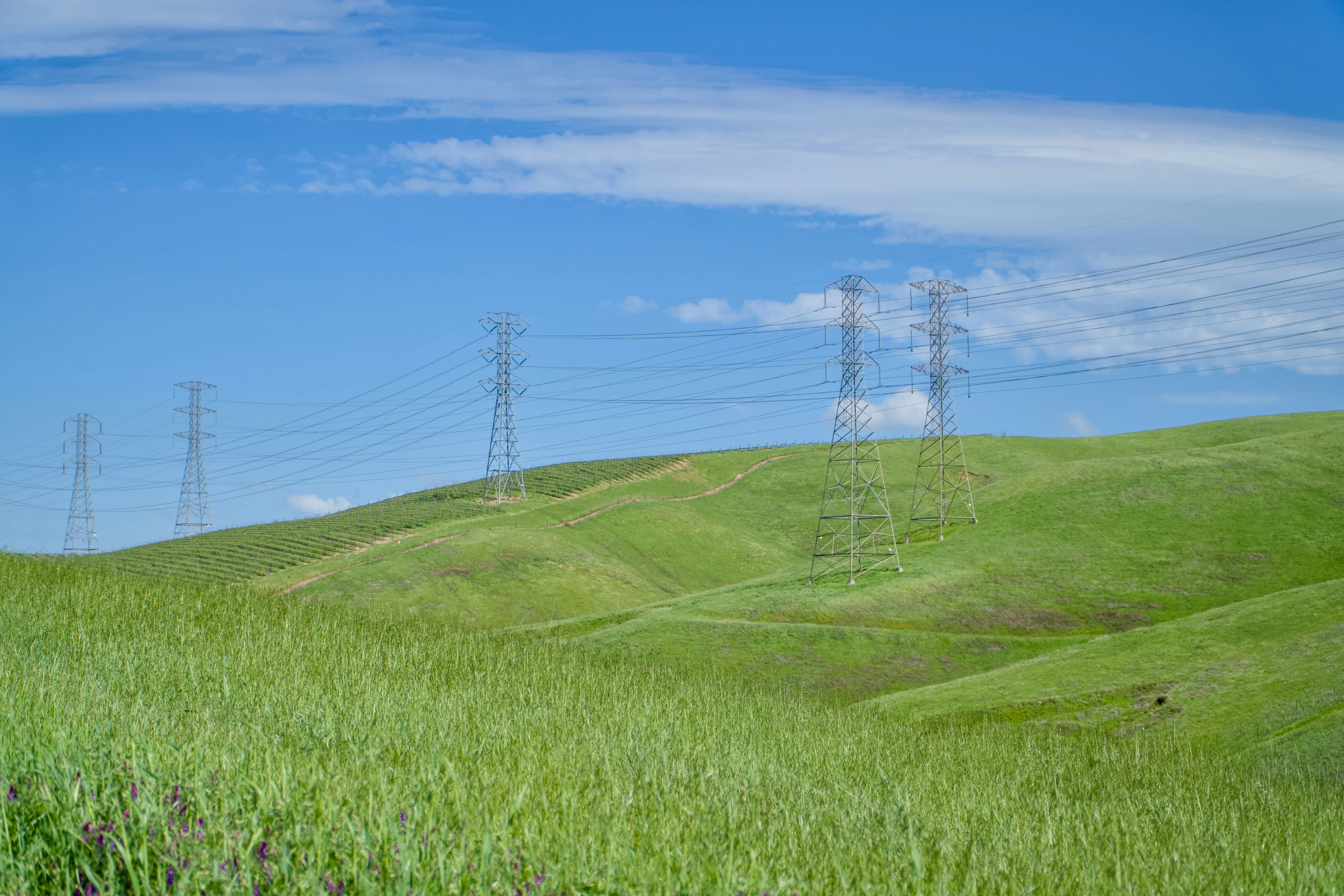 Photo by spencer_demera