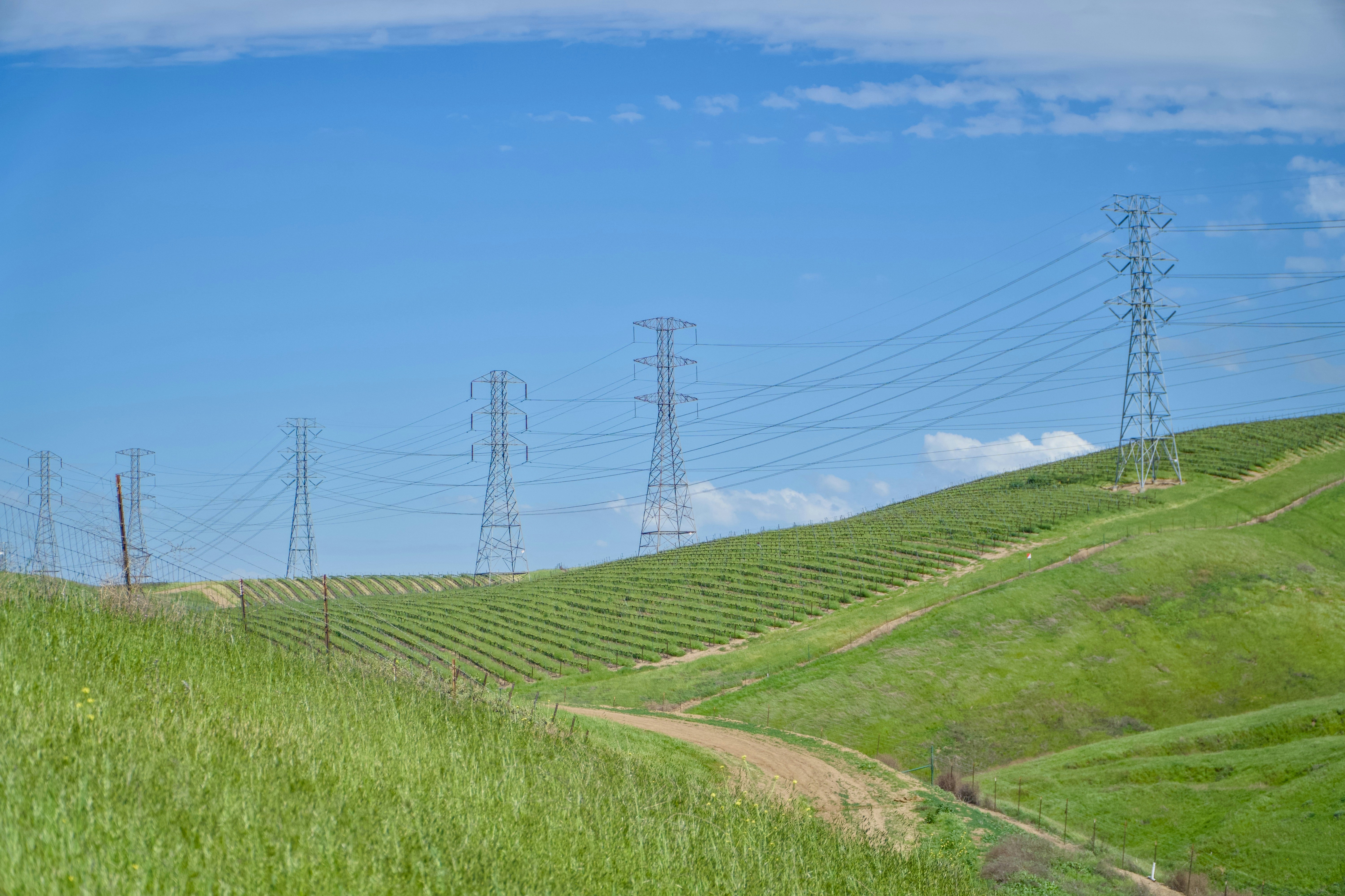 Photo by spencer_demera