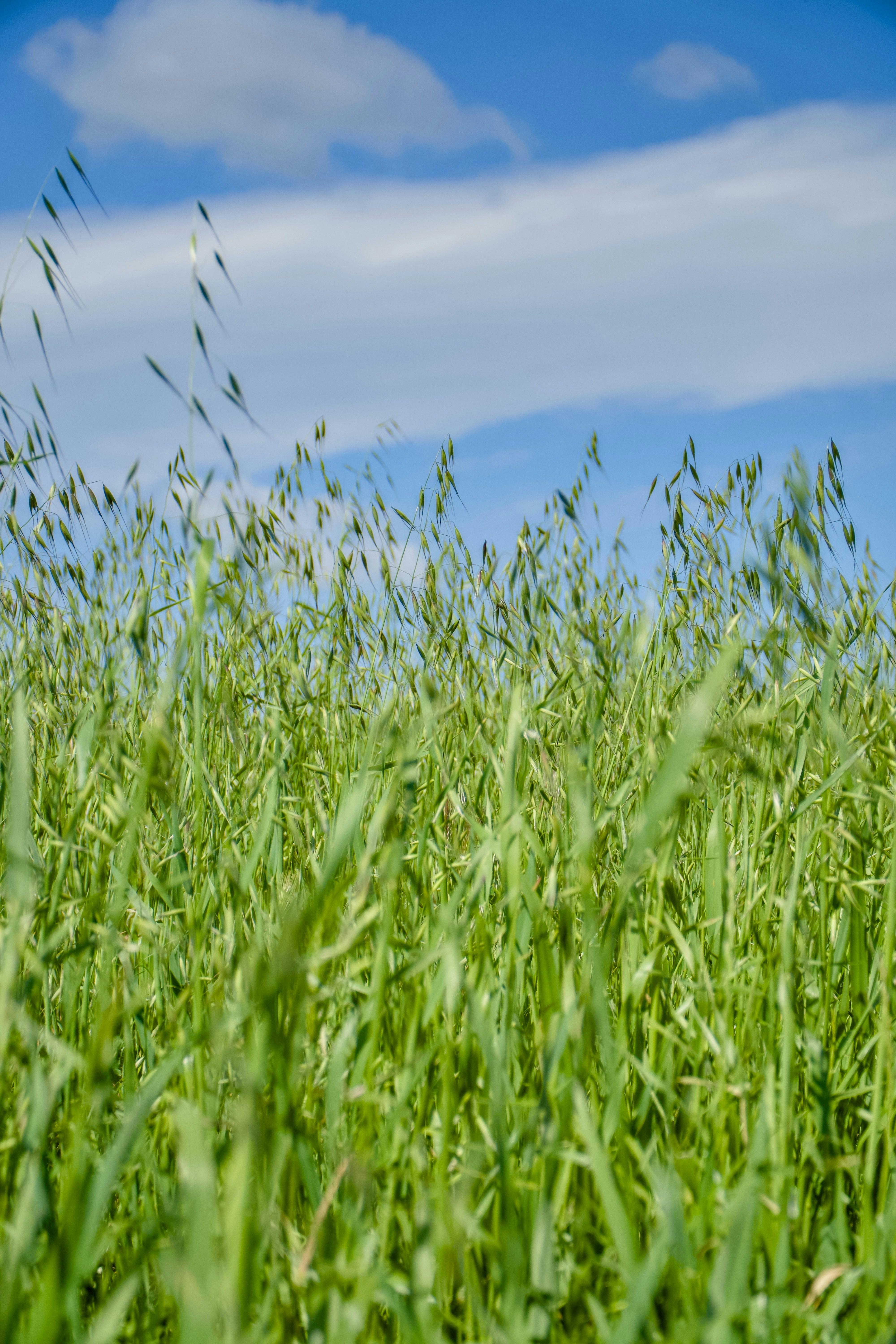 Photo by spencer_demera