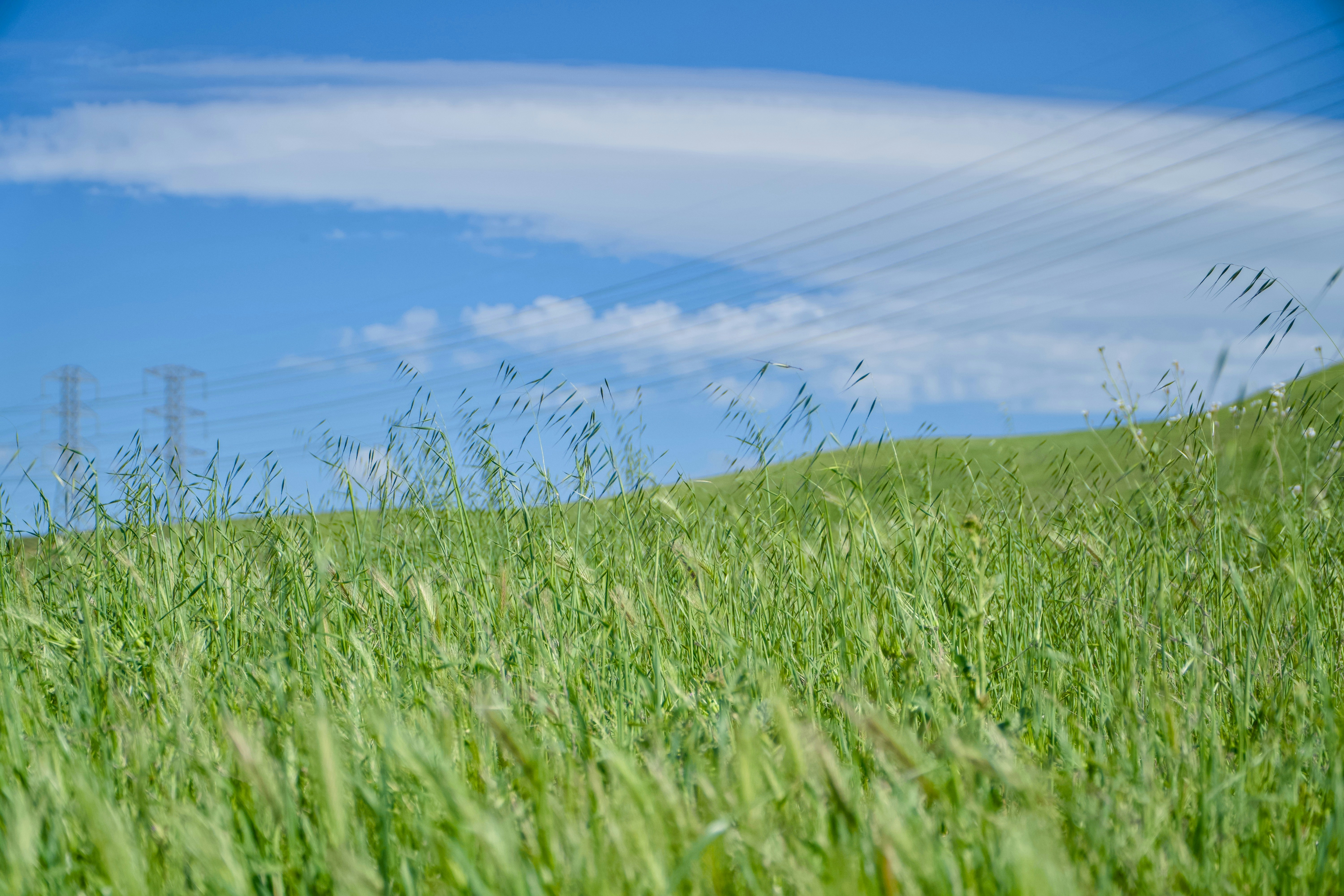 Photo by spencer_demera