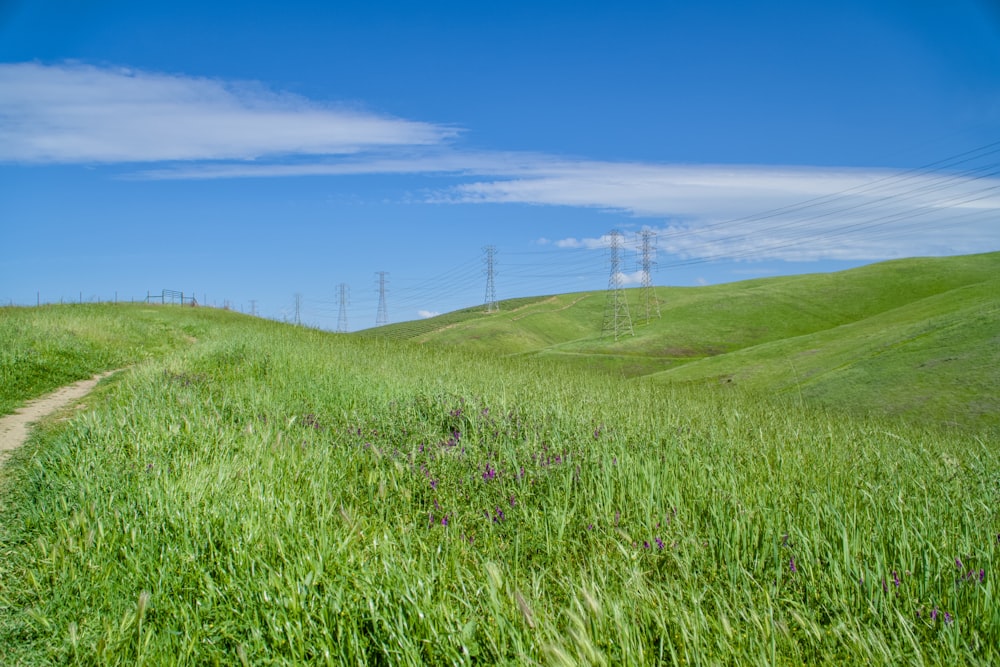 a grassy field with power lines in the distance