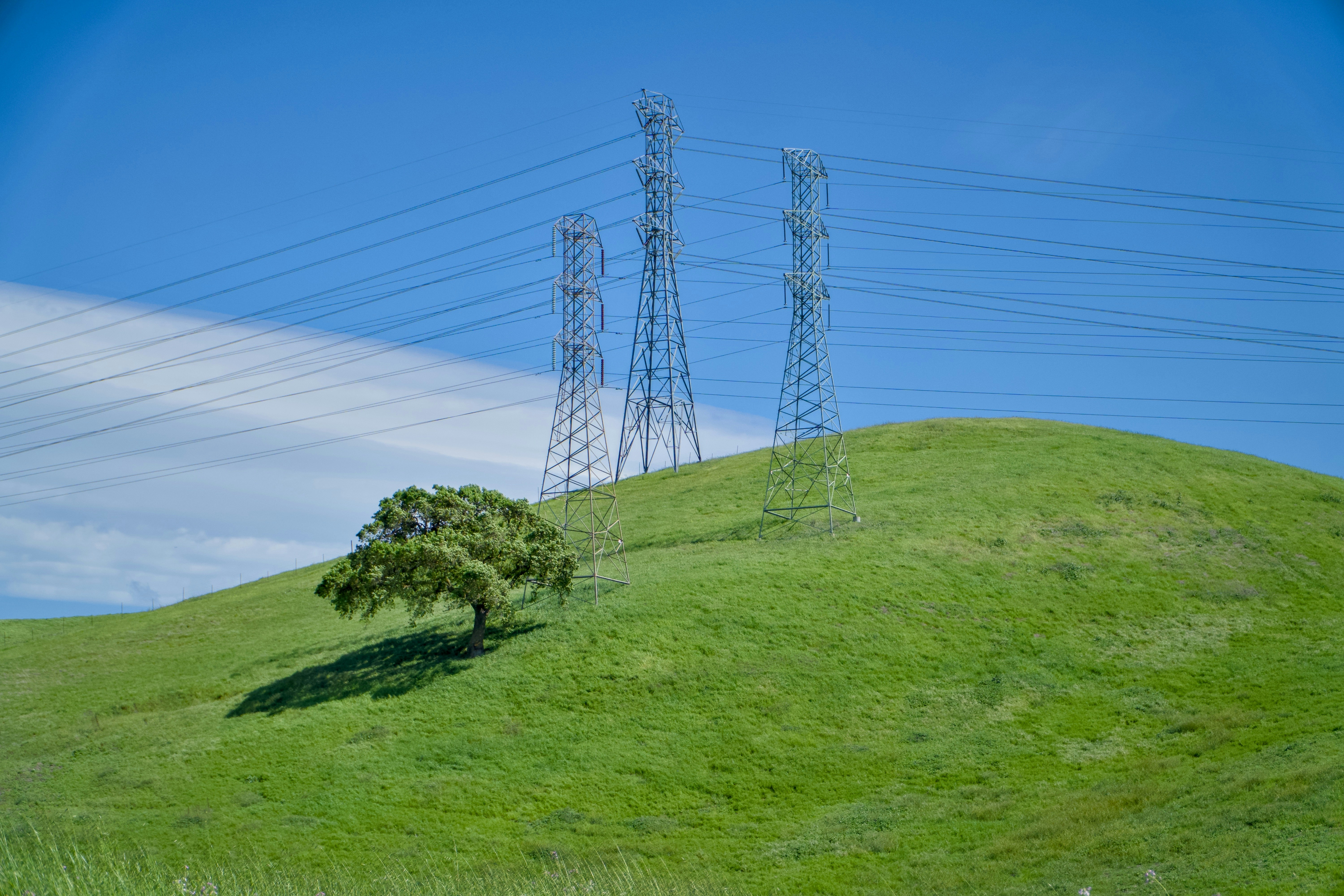 Photo by spencer_demera