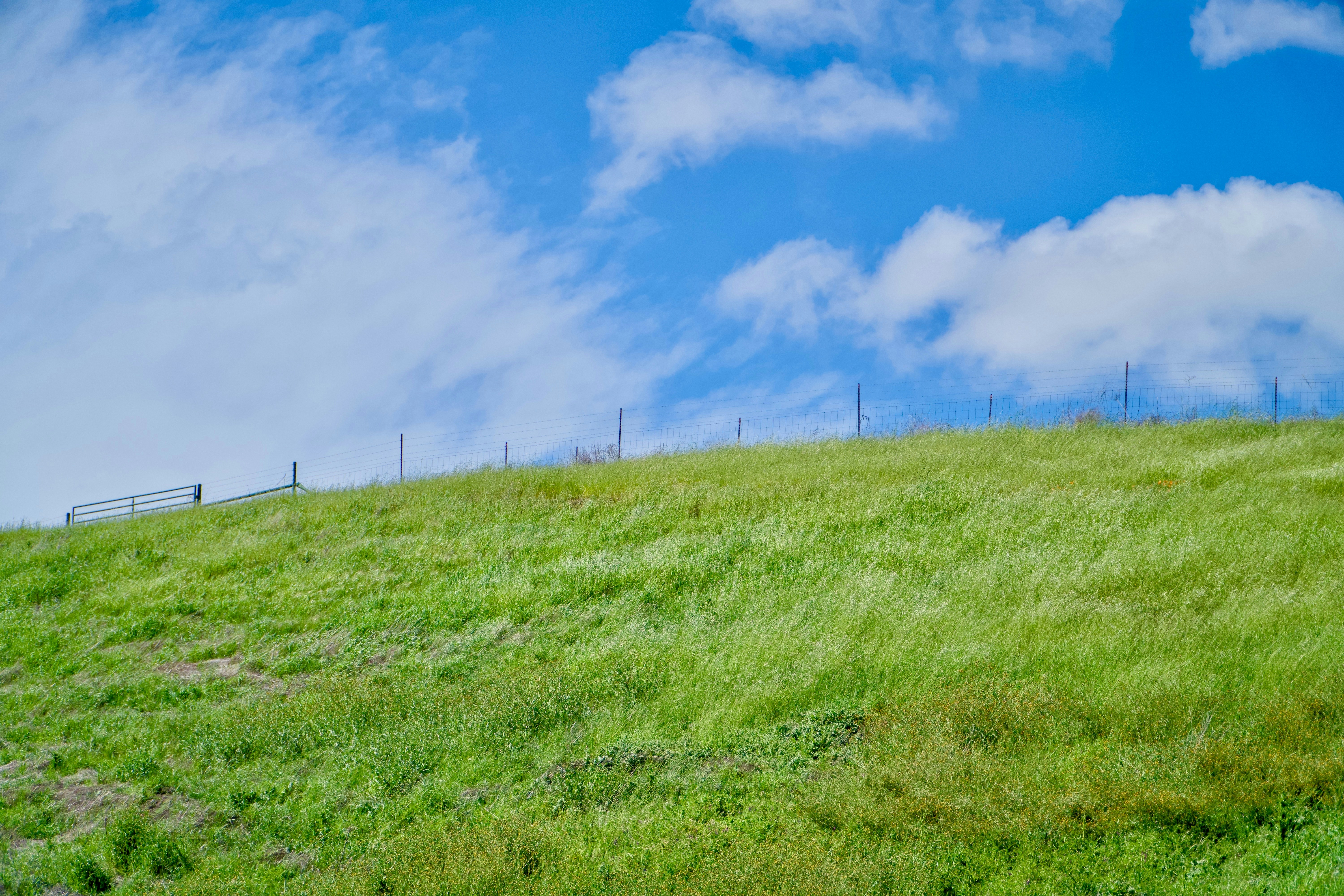 Photo by spencer_demera