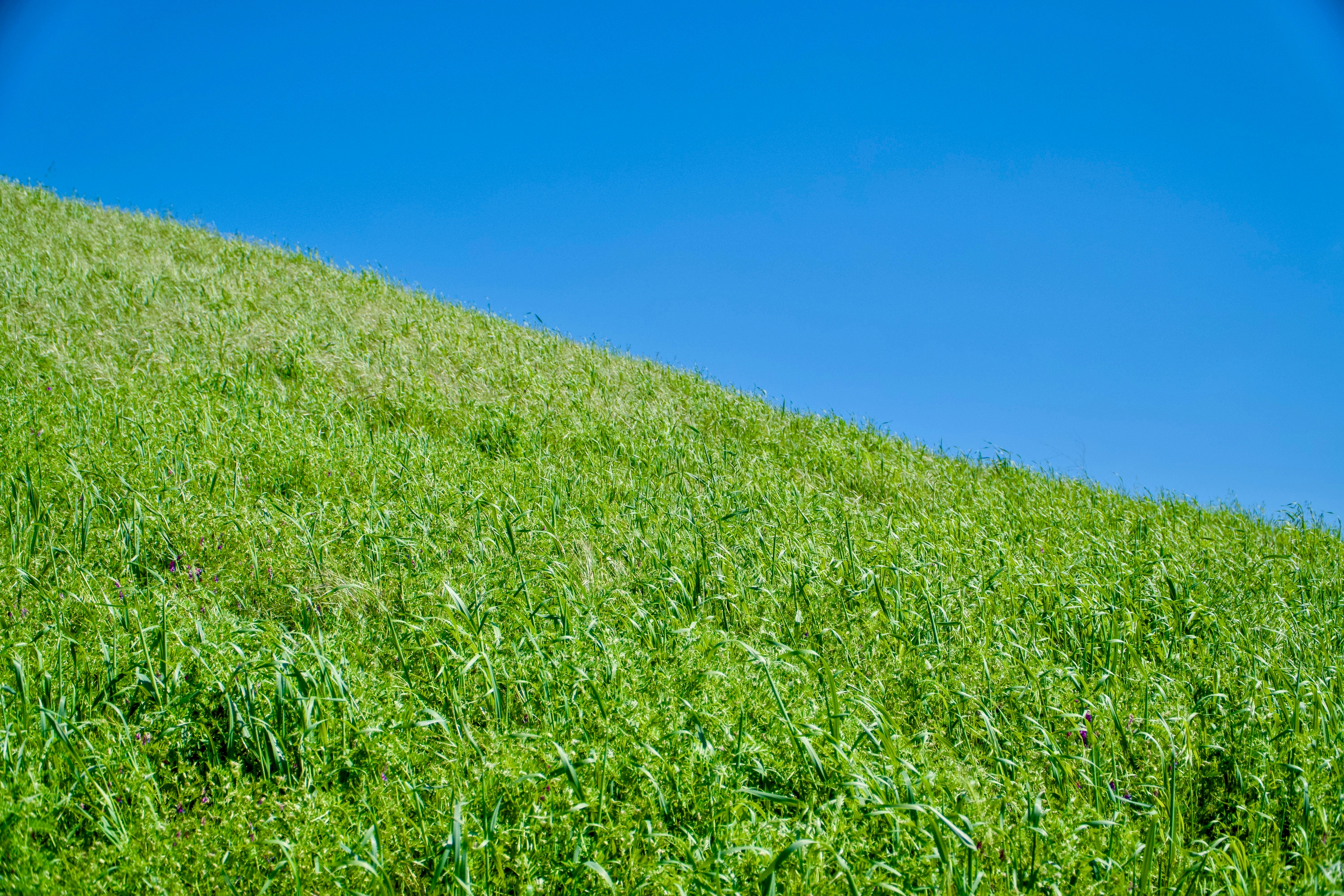 Photo by spencer_demera