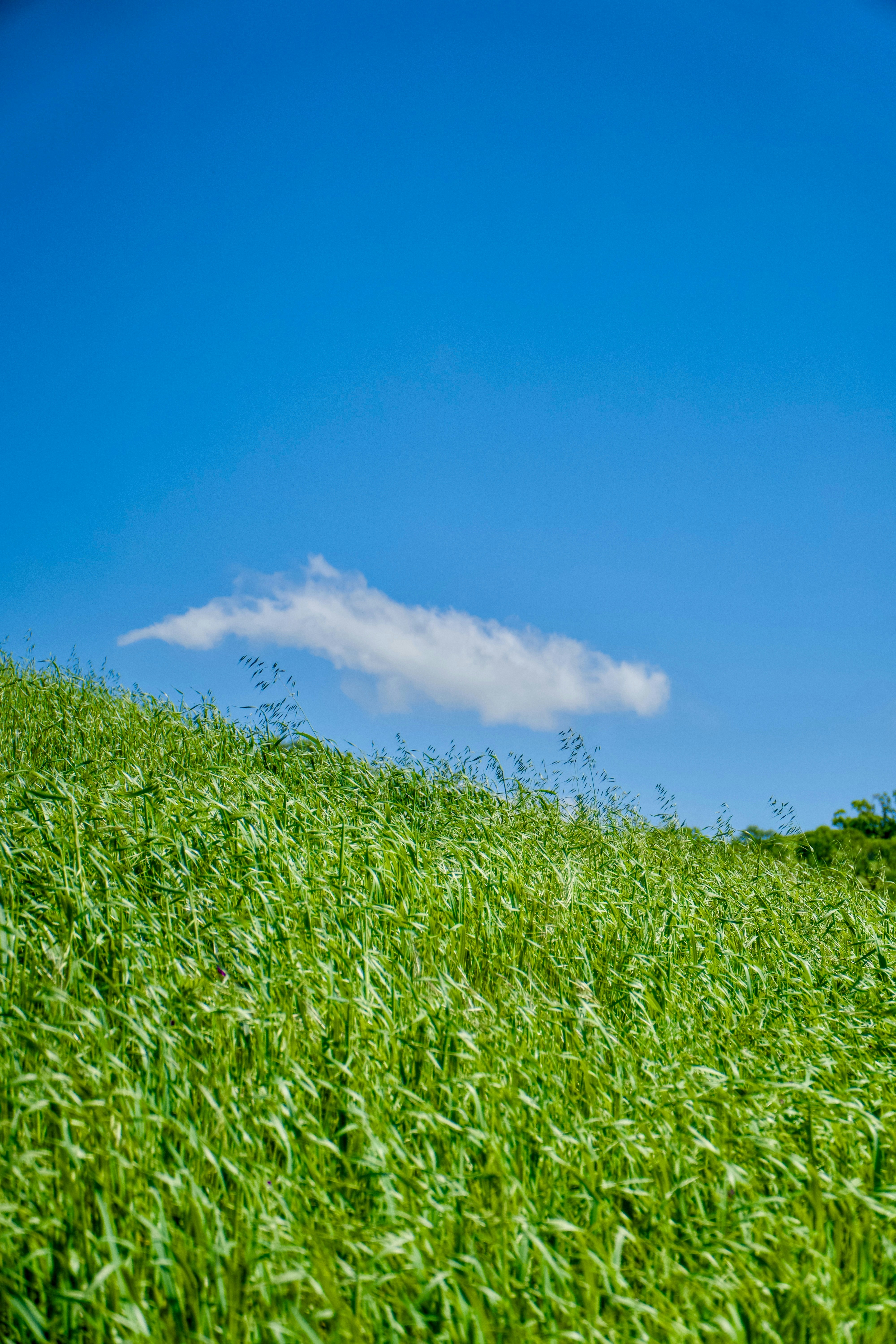 Photo by spencer_demera