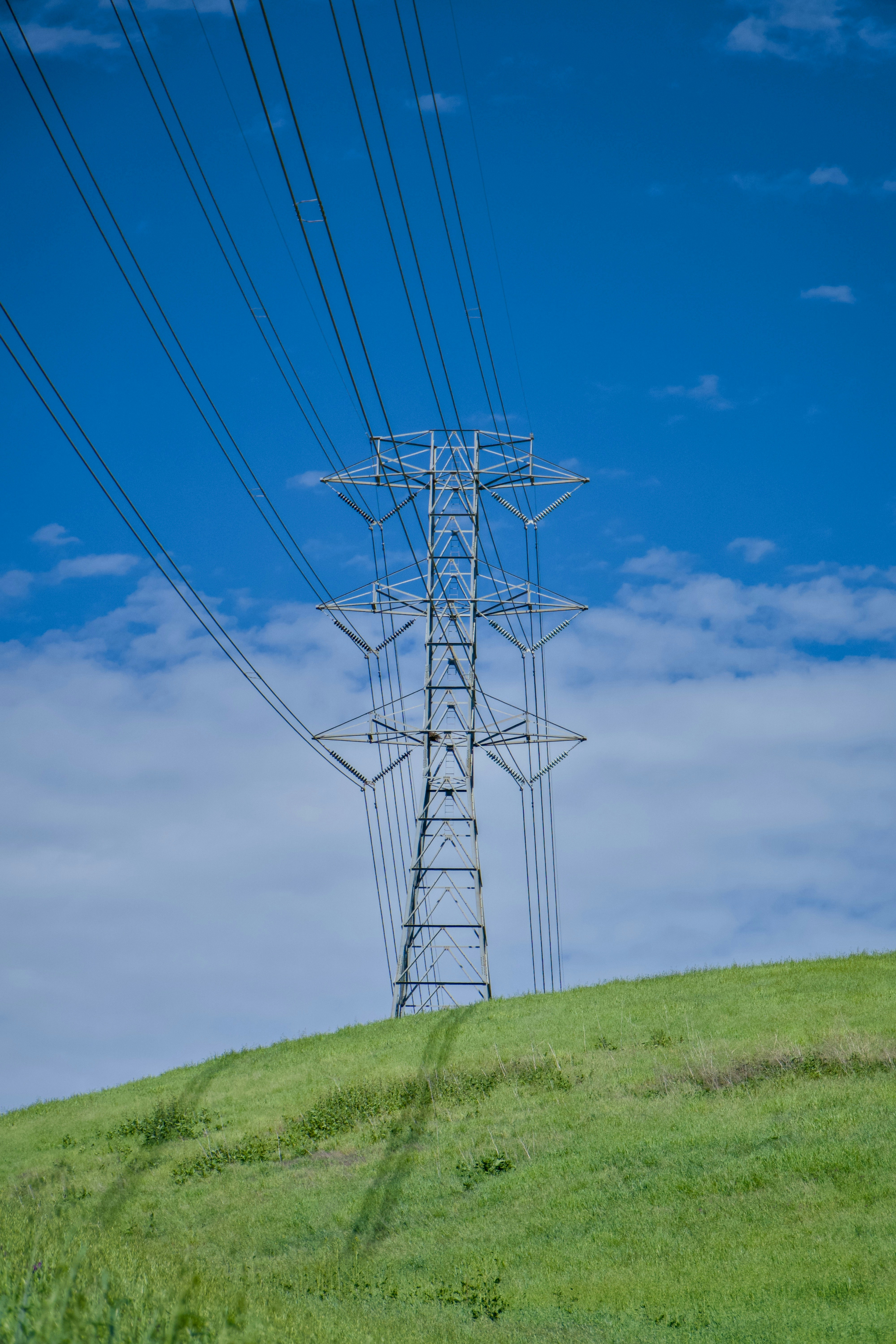 Photo by spencer_demera