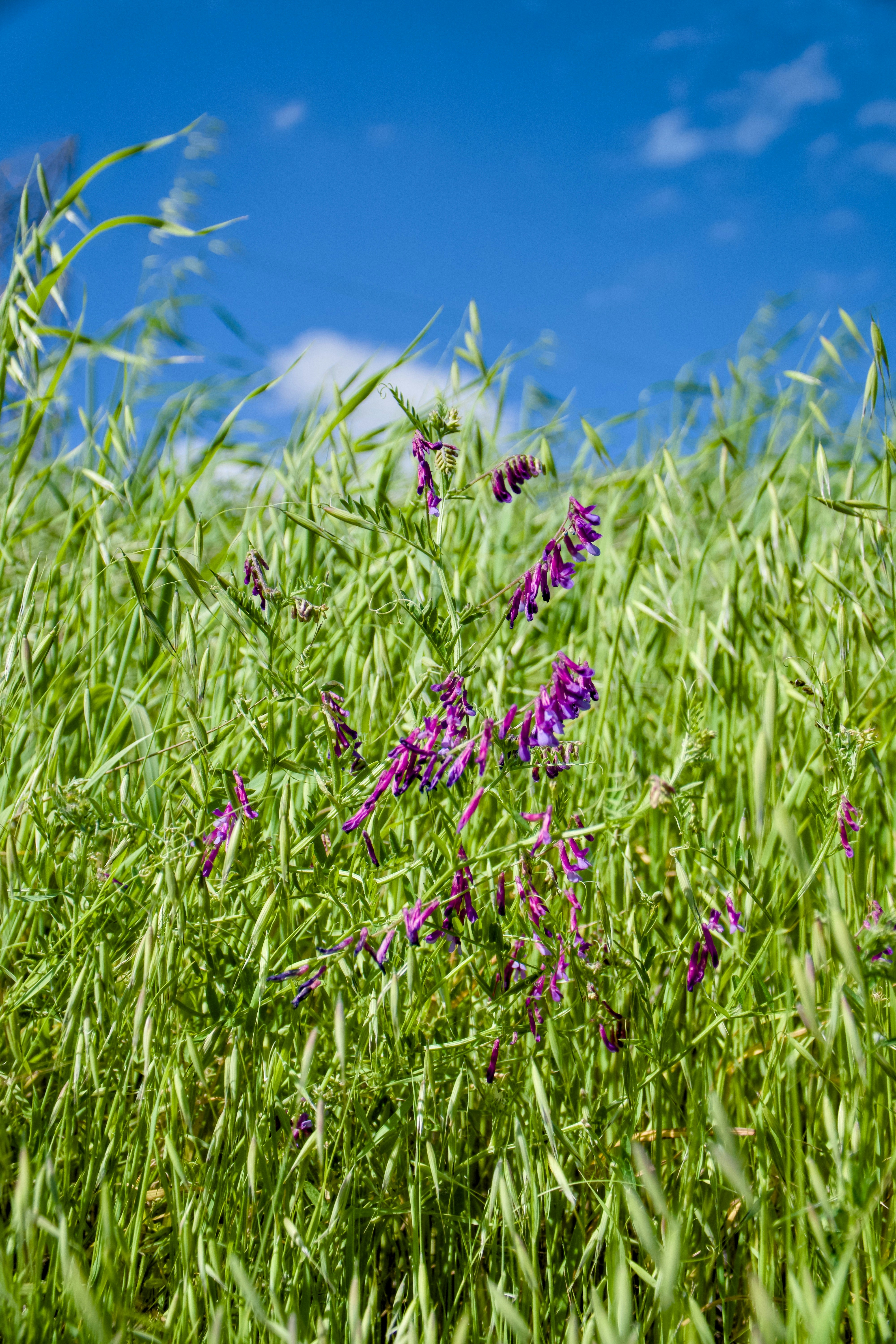 Photo by spencer_demera