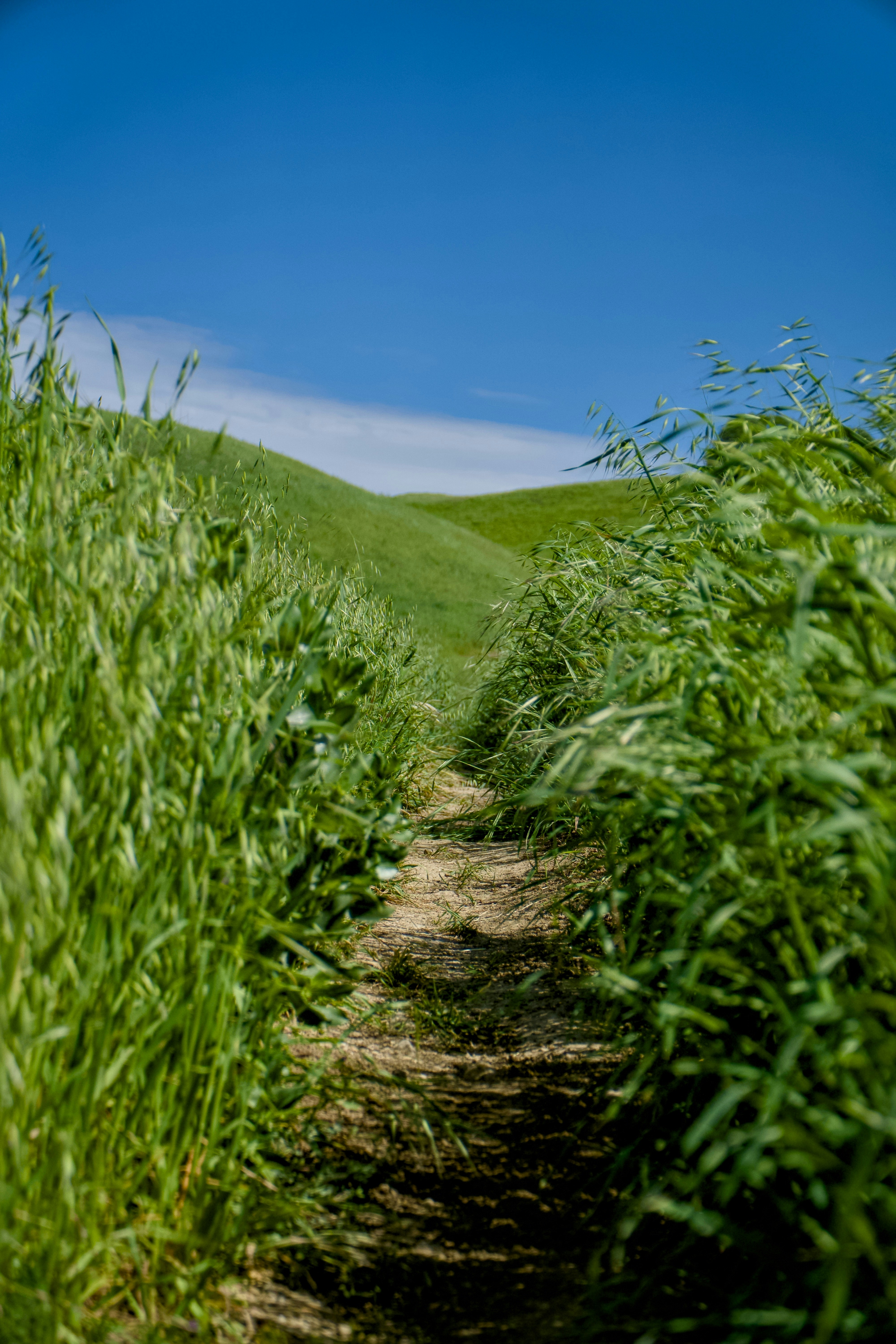 Photo by spencer_demera