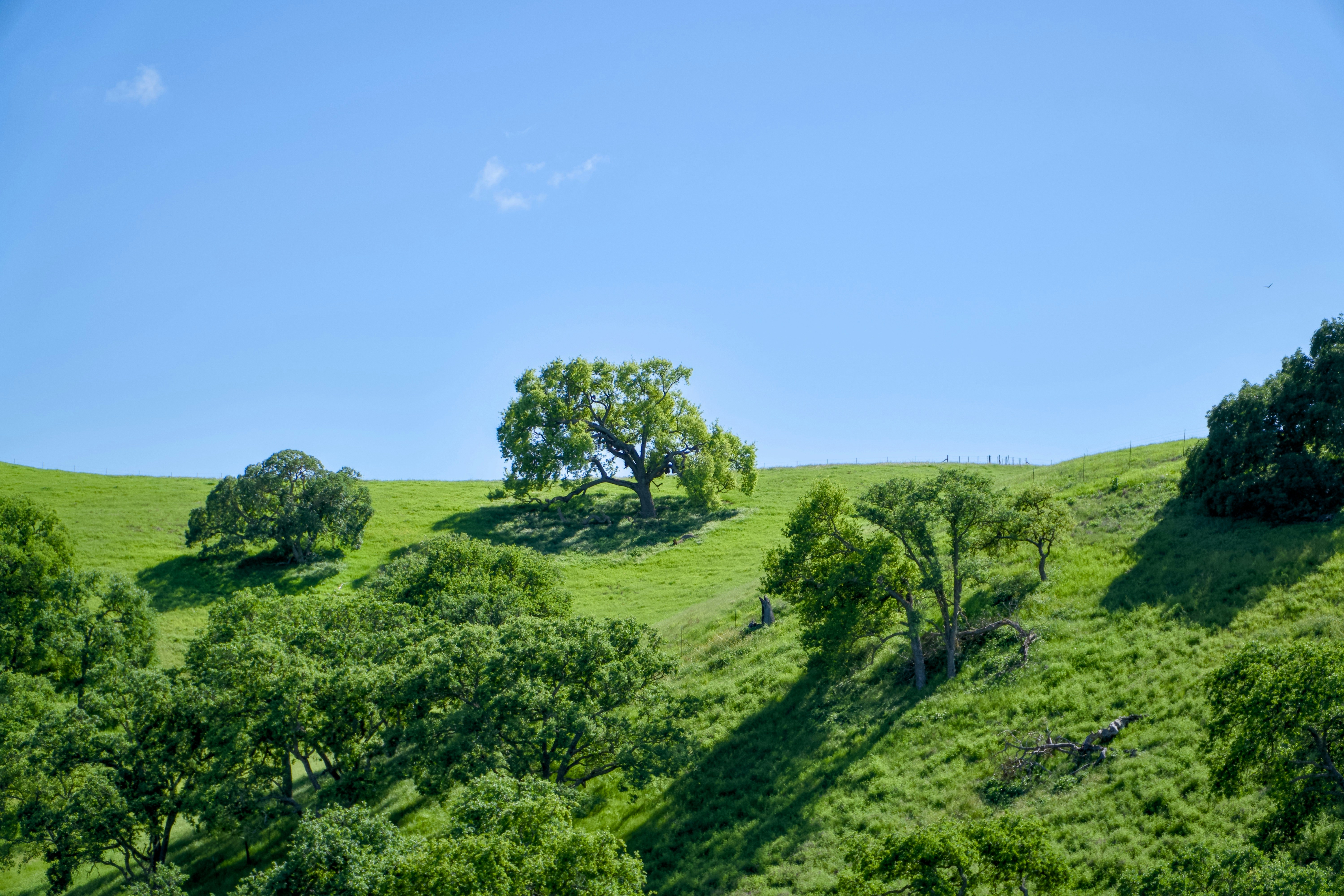 Photo by spencer_demera