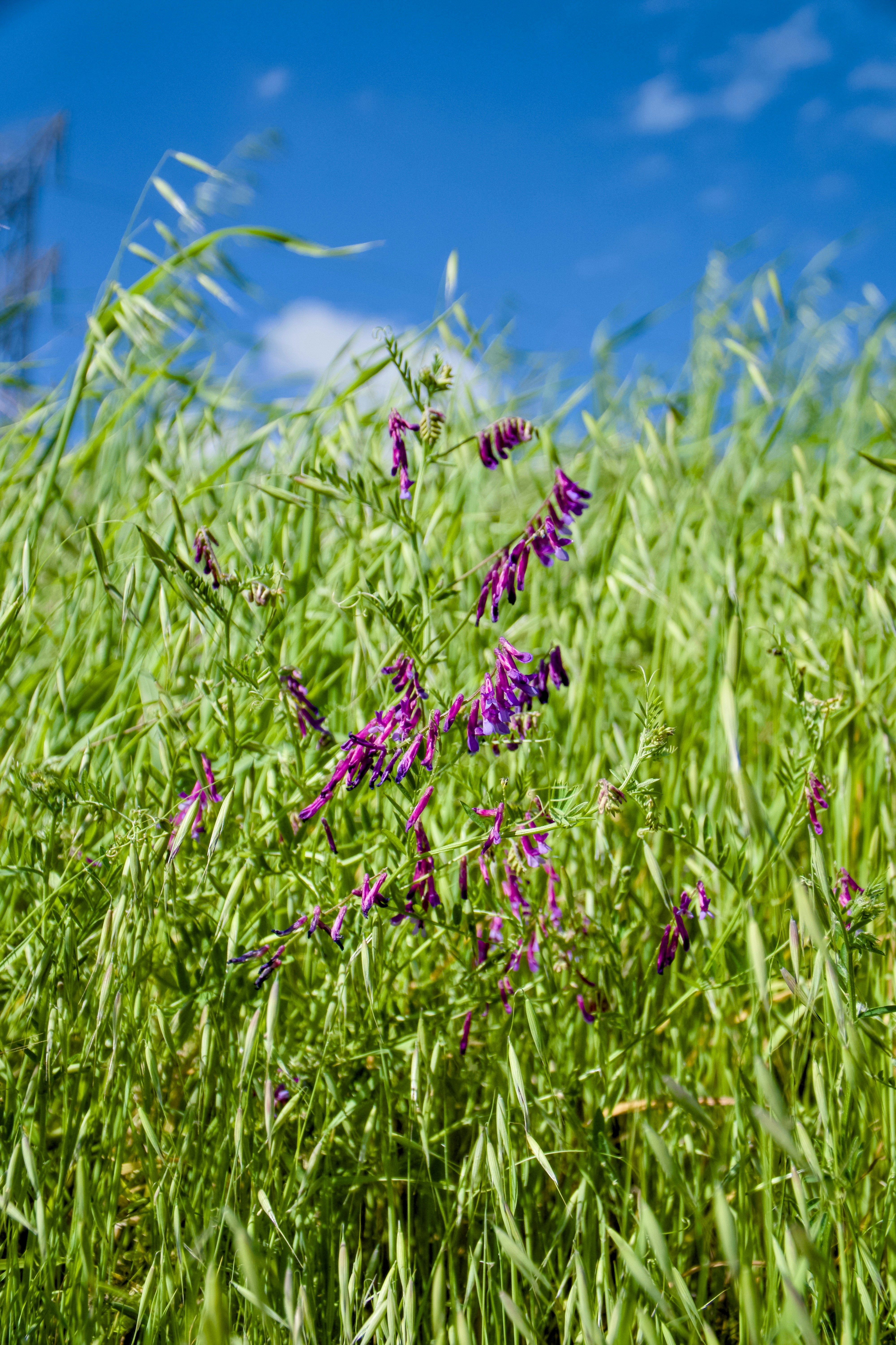 Photo by spencer_demera