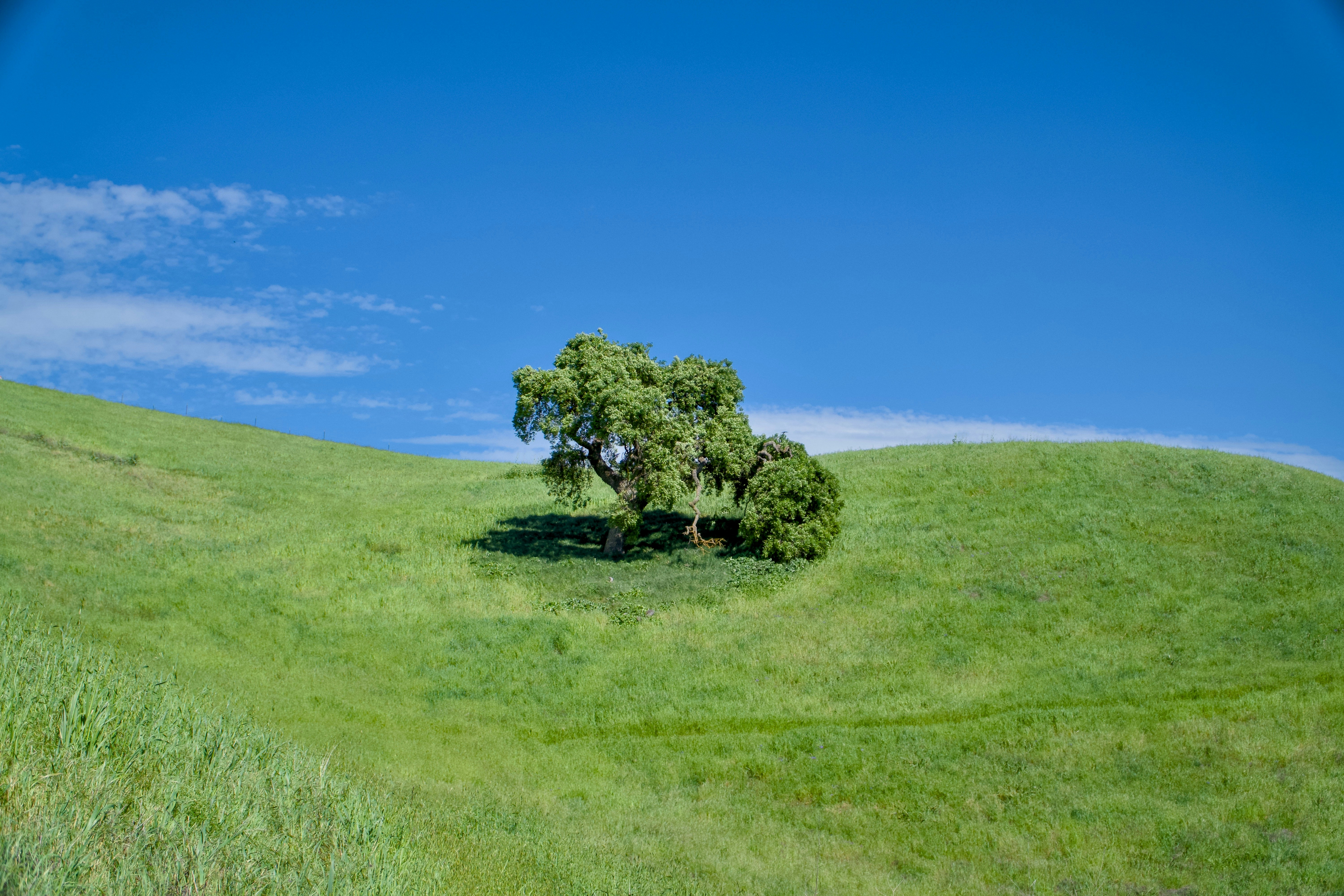 Photo by spencer_demera