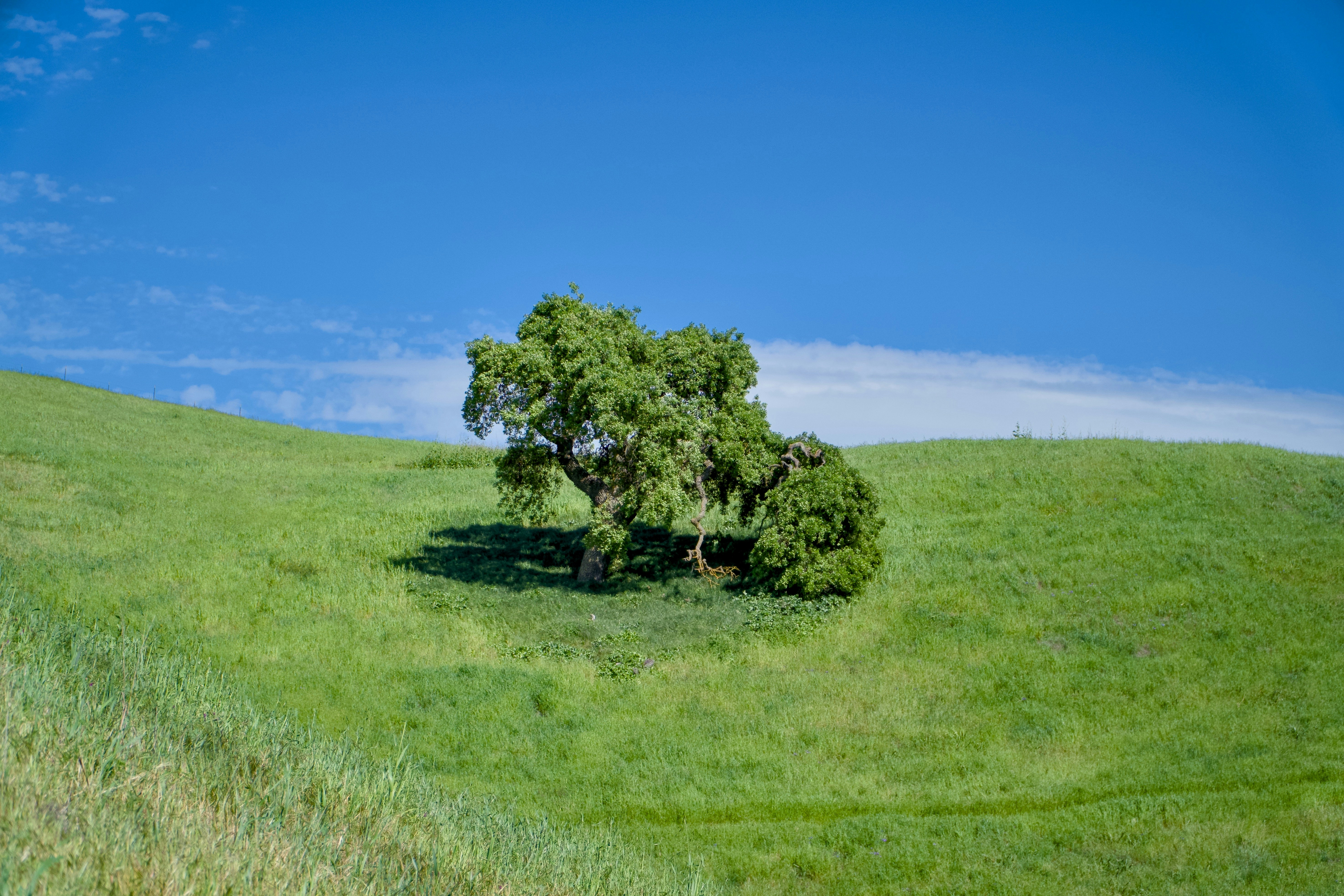 Photo by spencer_demera