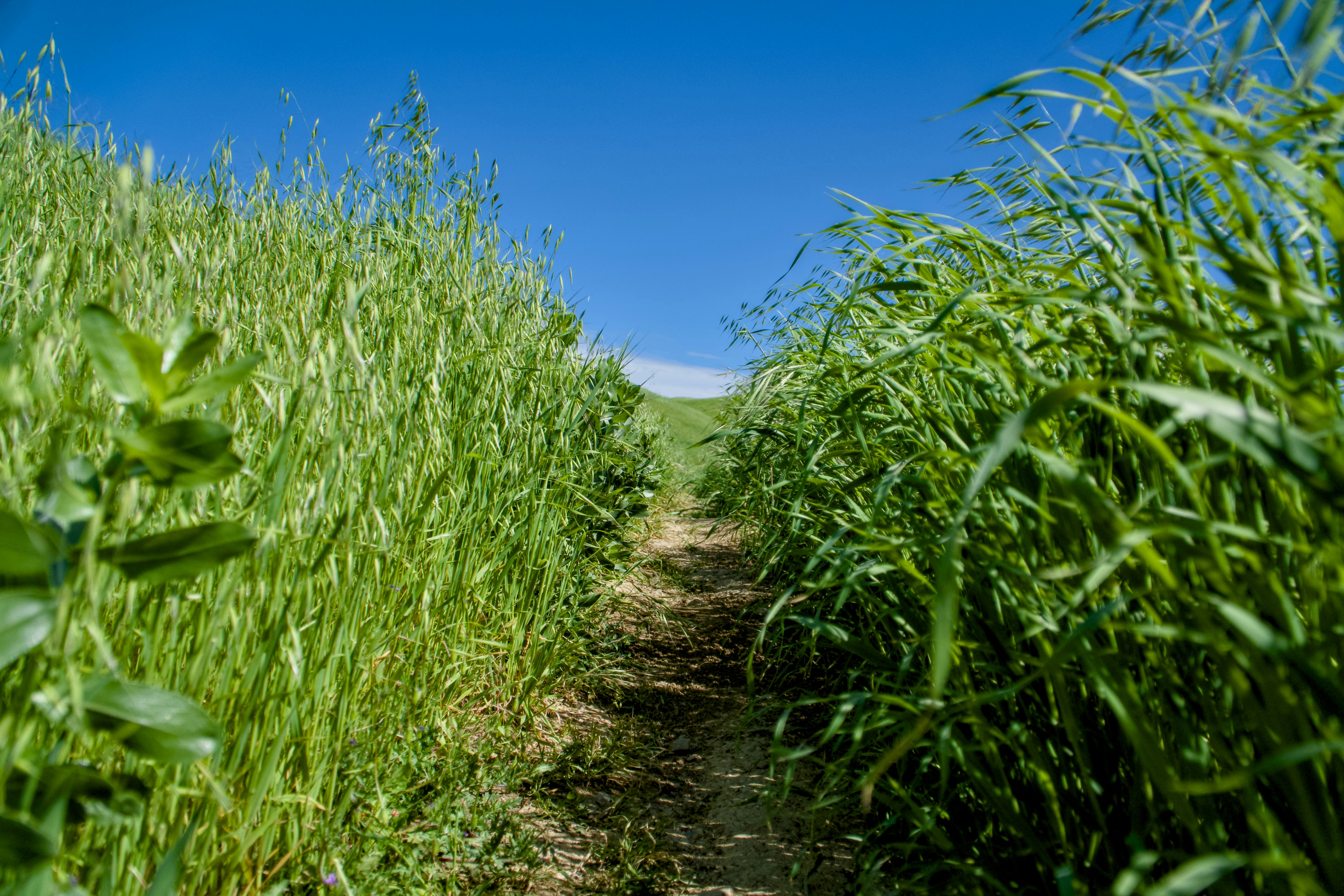 Photo by spencer_demera