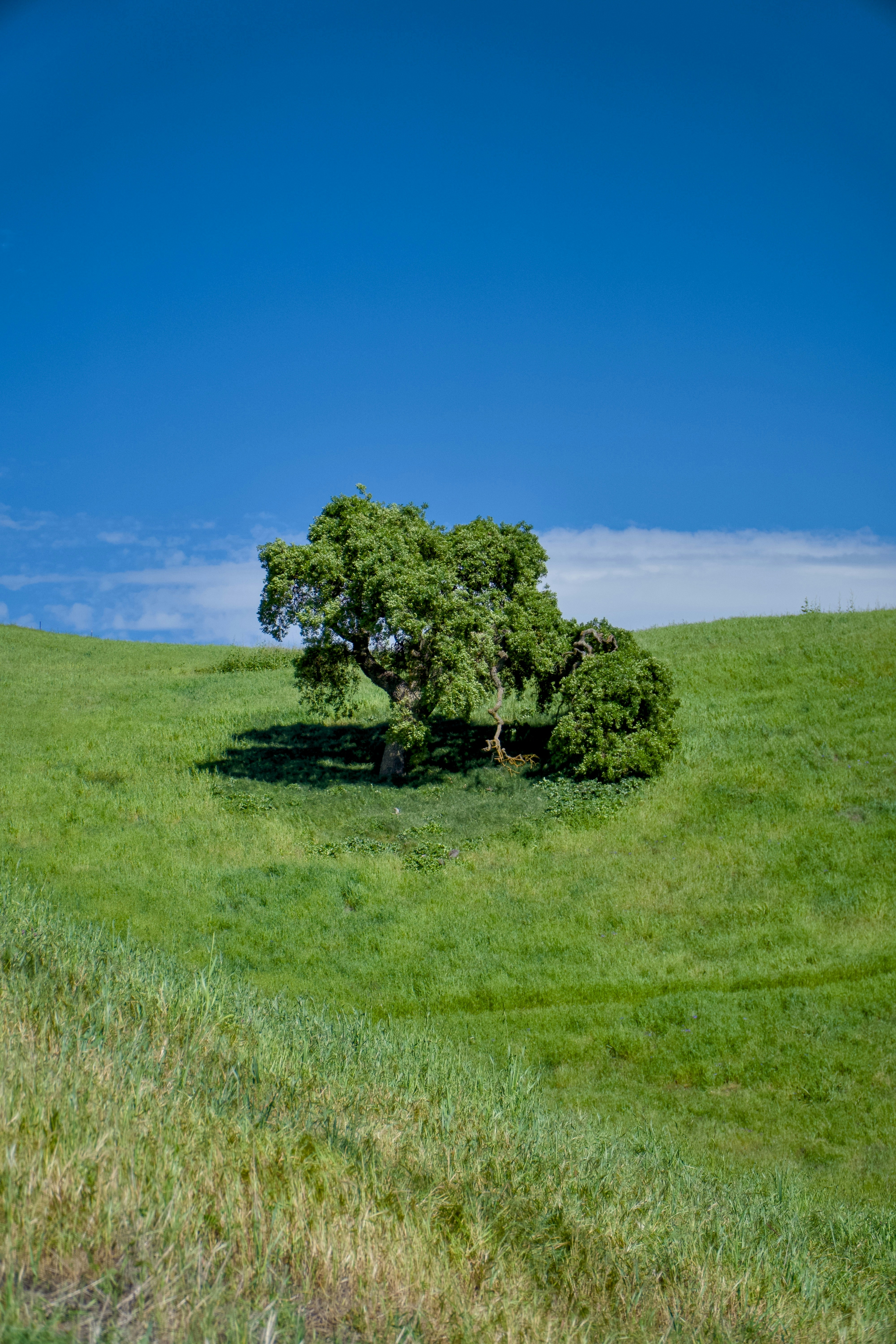 Photo by spencer_demera