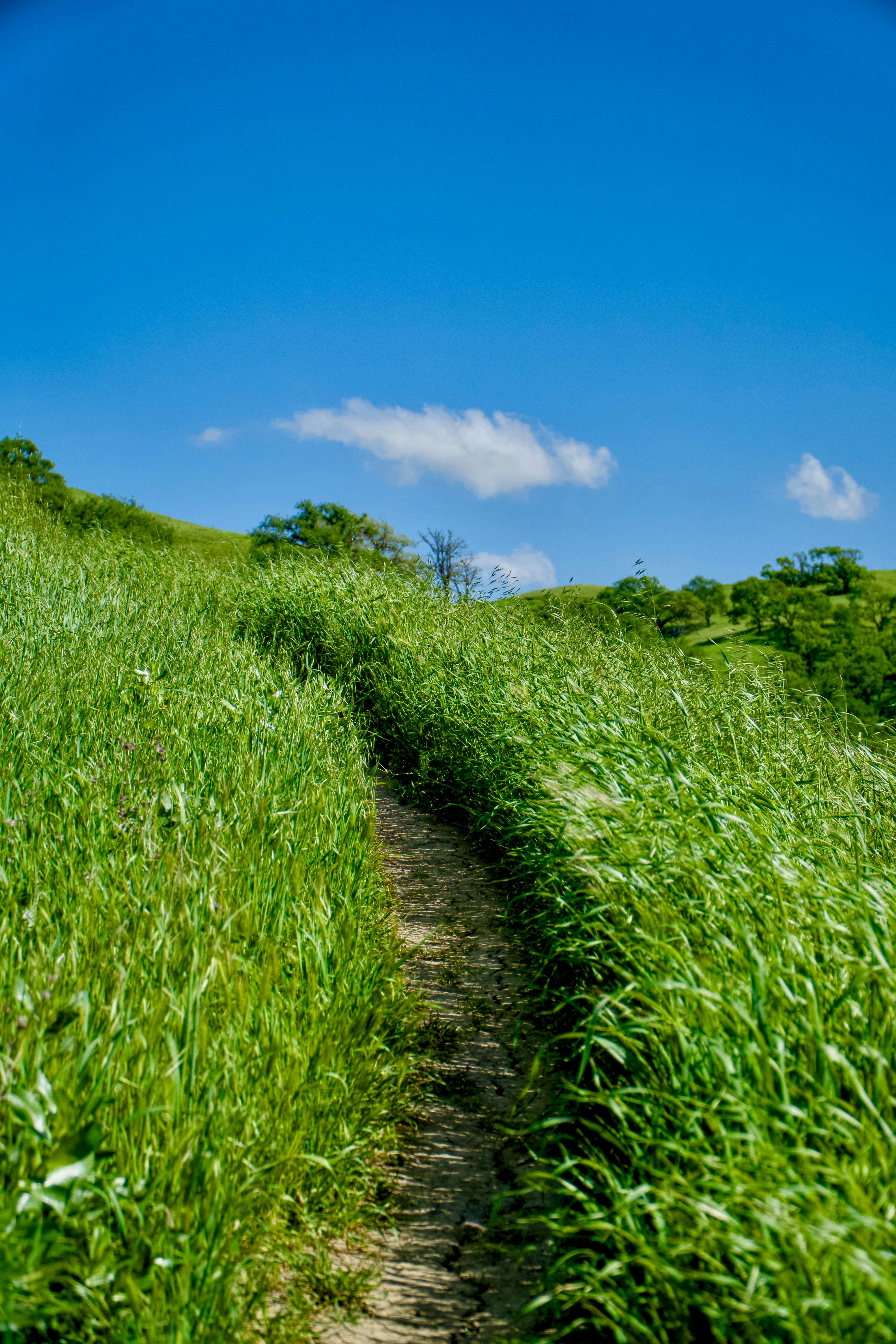 Photo by spencer_demera