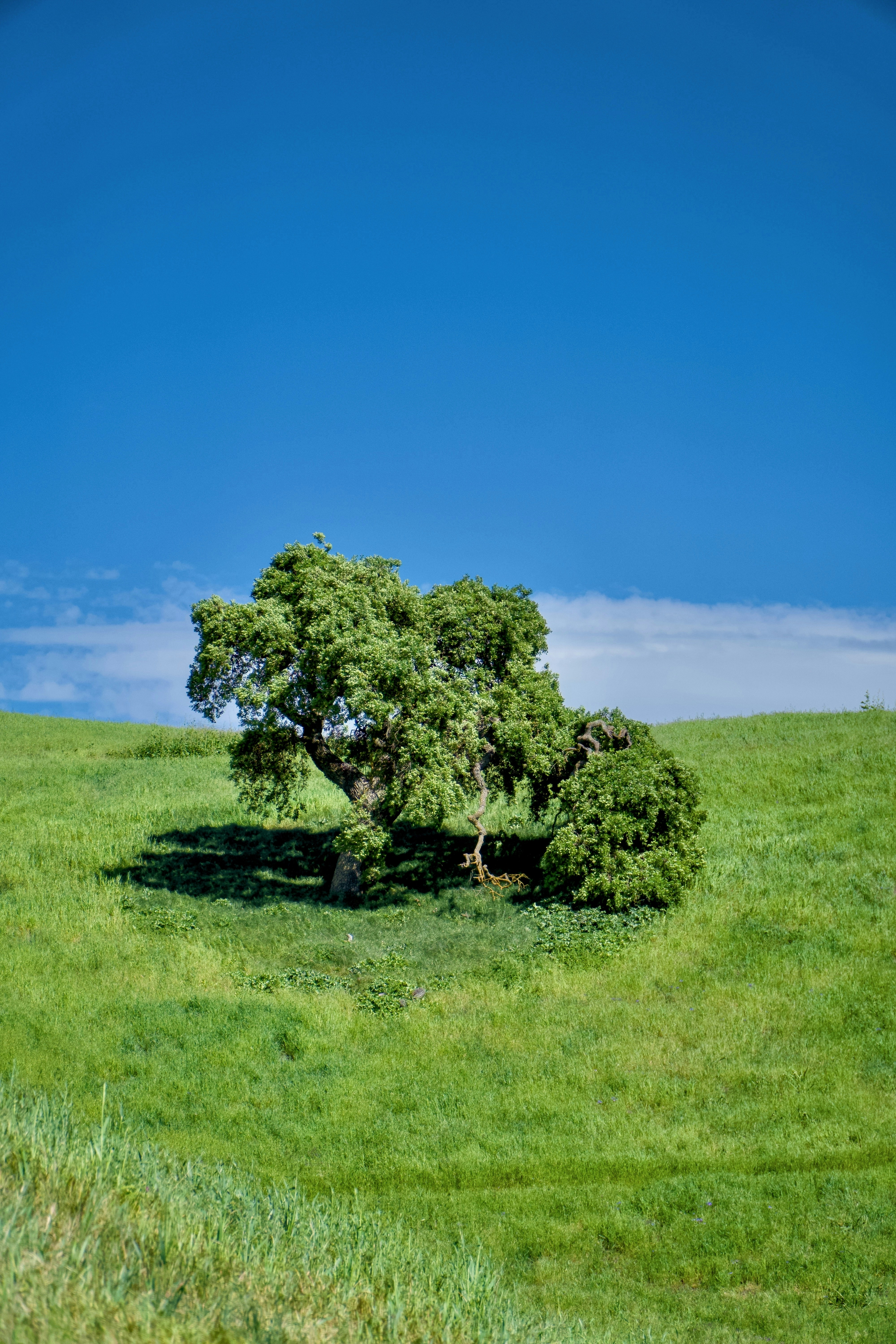 Photo by spencer_demera