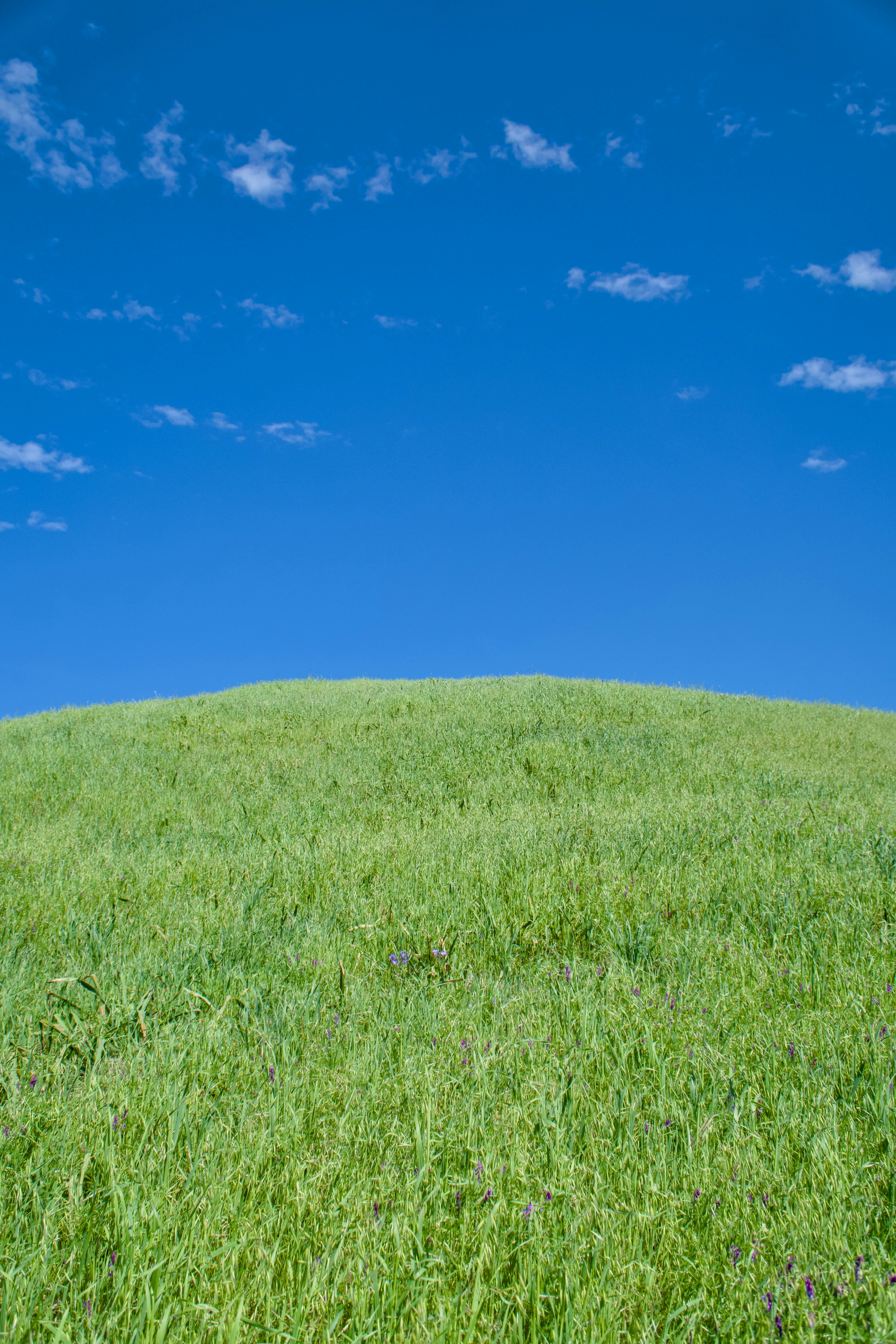 Photo by spencer_demera