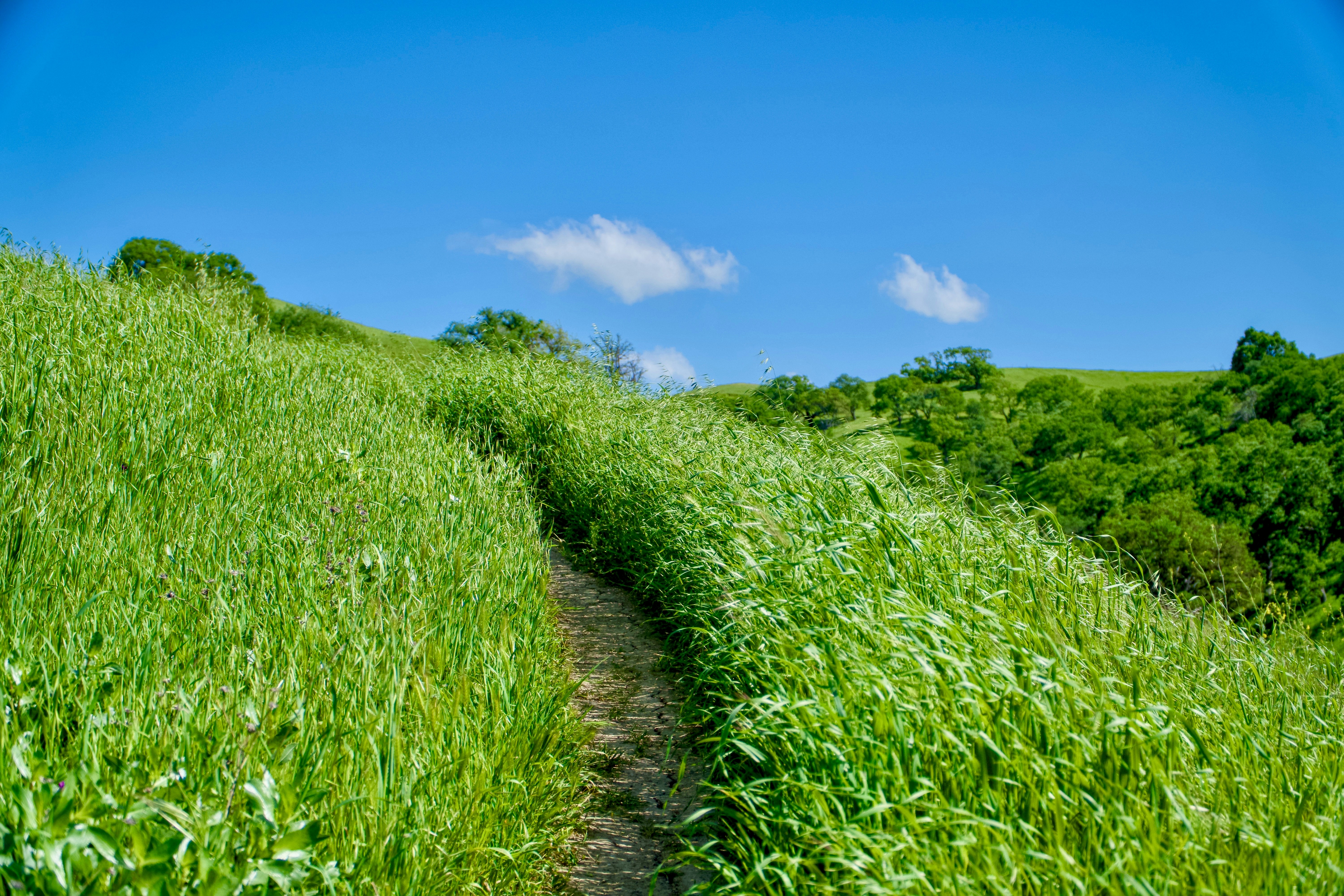 Photo by spencer_demera