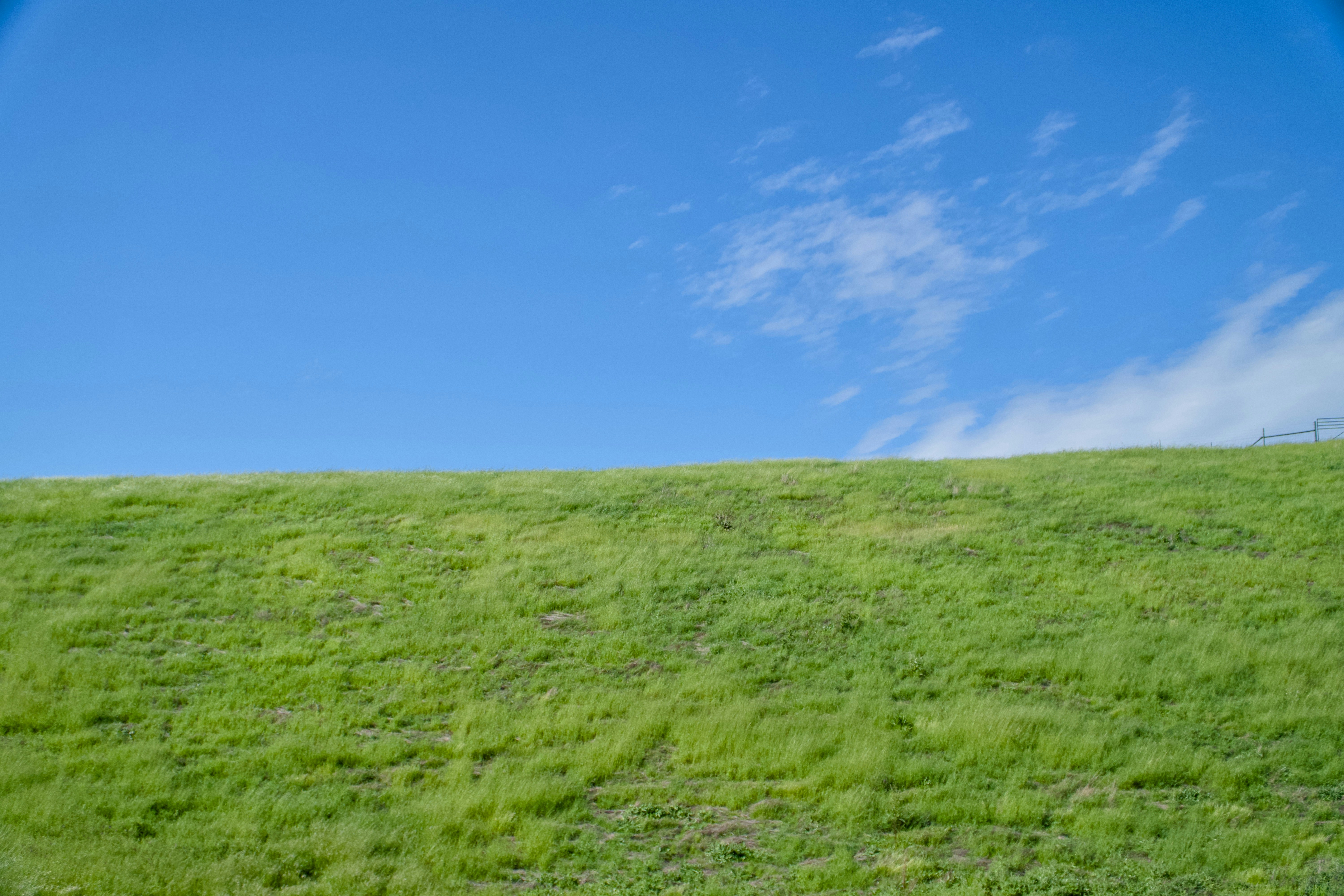 Photo by spencer_demera