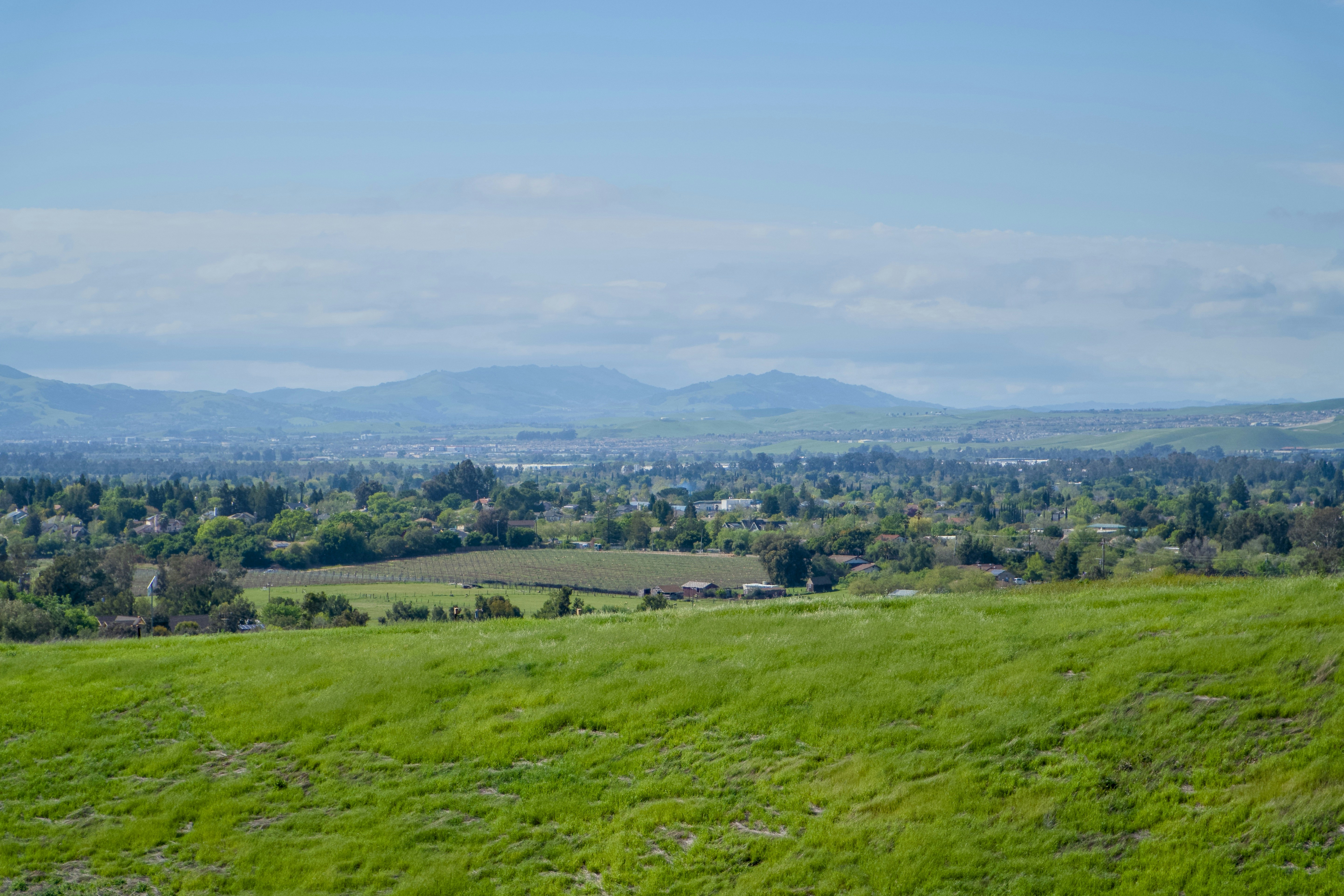 Photo by spencer_demera