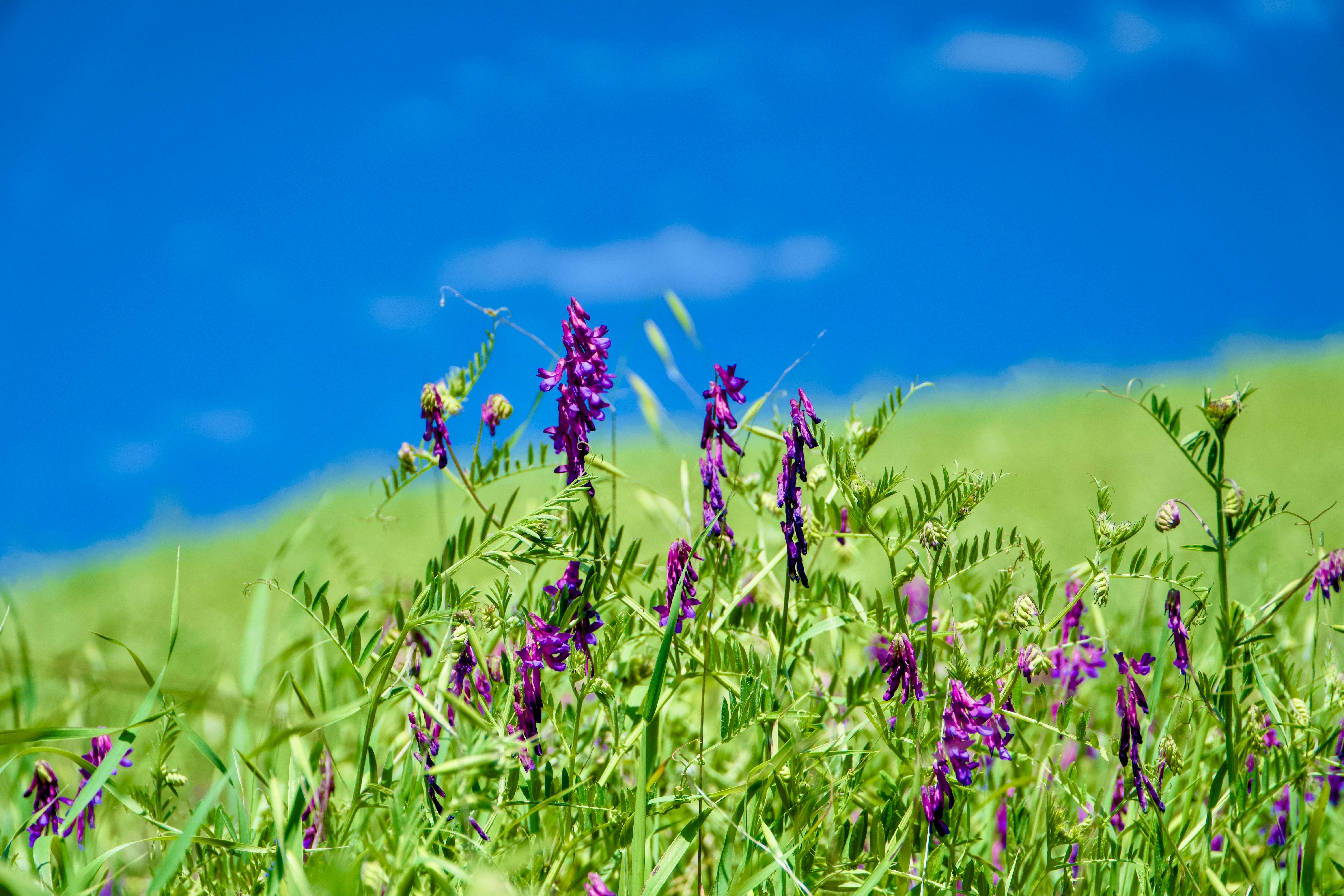 Photo by spencer_demera